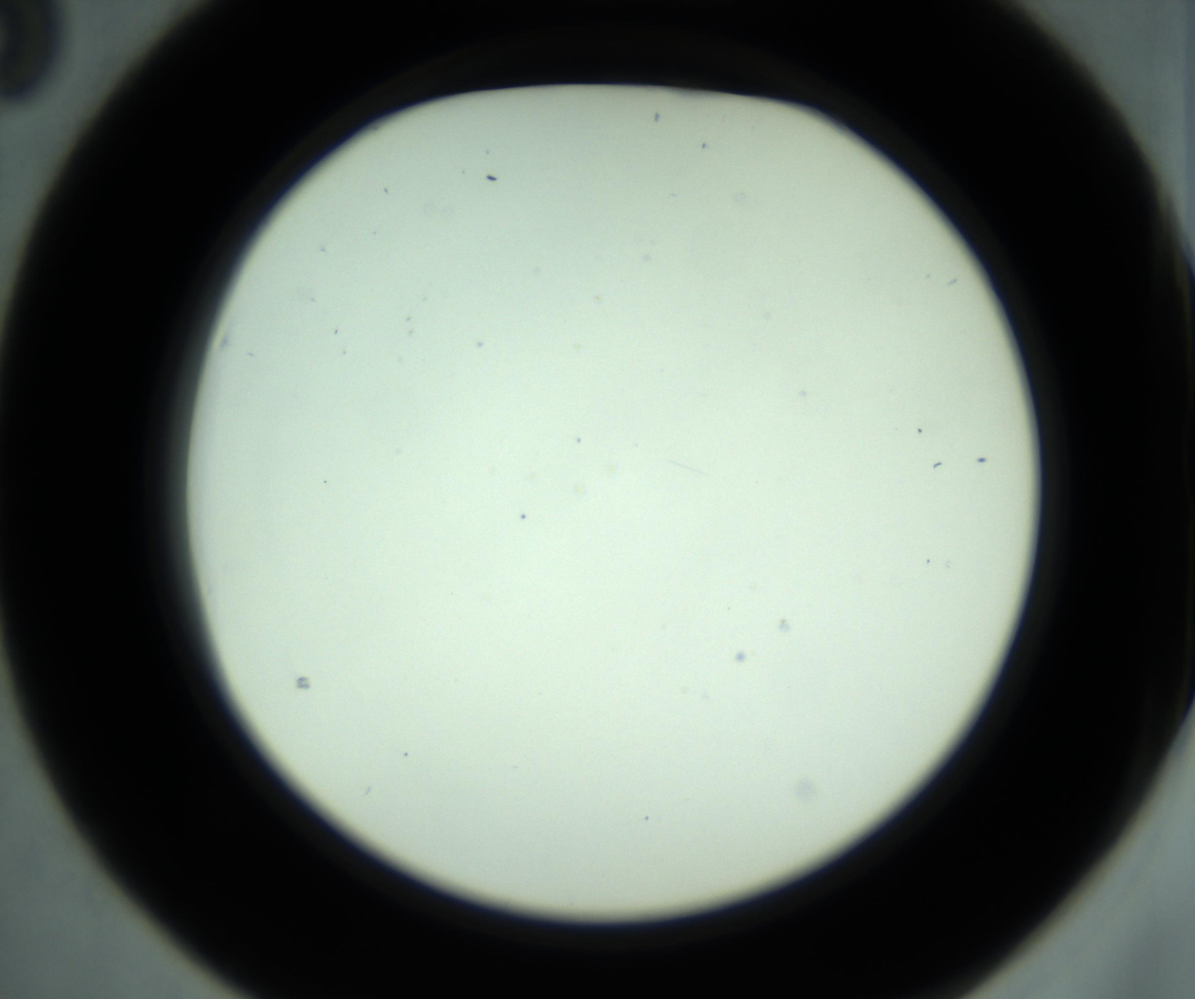 RI01_03_000_0212_Proj1_Clon1_MC_0000MC102881_001_161021_03_02_02_00_98_002_001_RAI.jpg