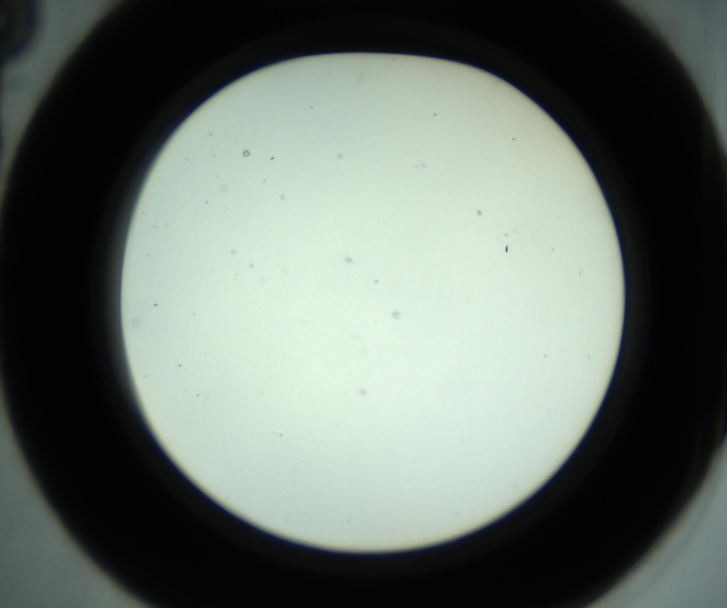RI01_03_000_0212_Proj1_Clon1_MC_0000MC102881_001_161021_03_03_02_00_98_002_001_RAI.jpg