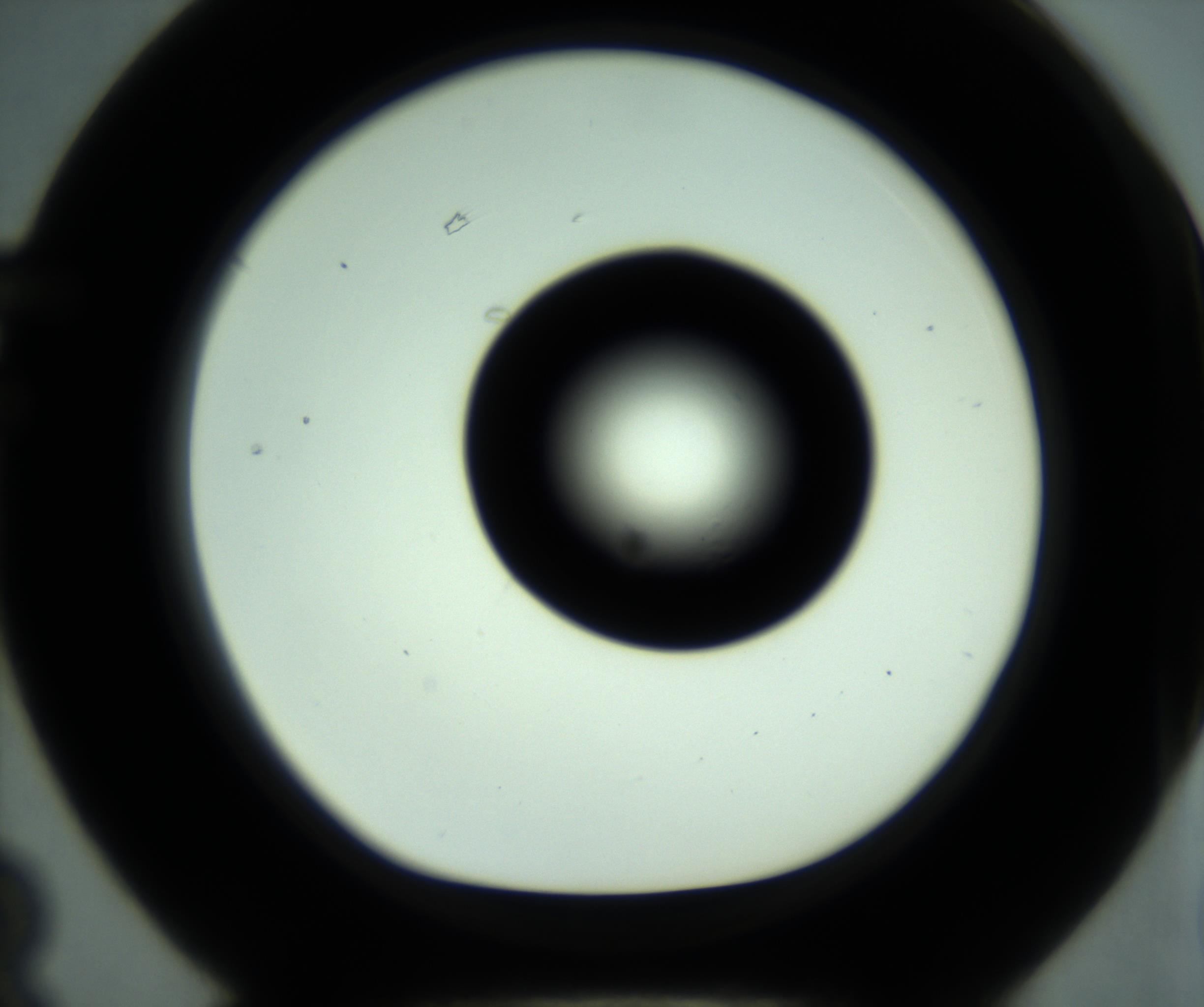 RI01_03_000_0212_Proj1_Clon1_MC_0000MC102881_001_161021_03_06_01_00_98_002_001_RAI.jpg