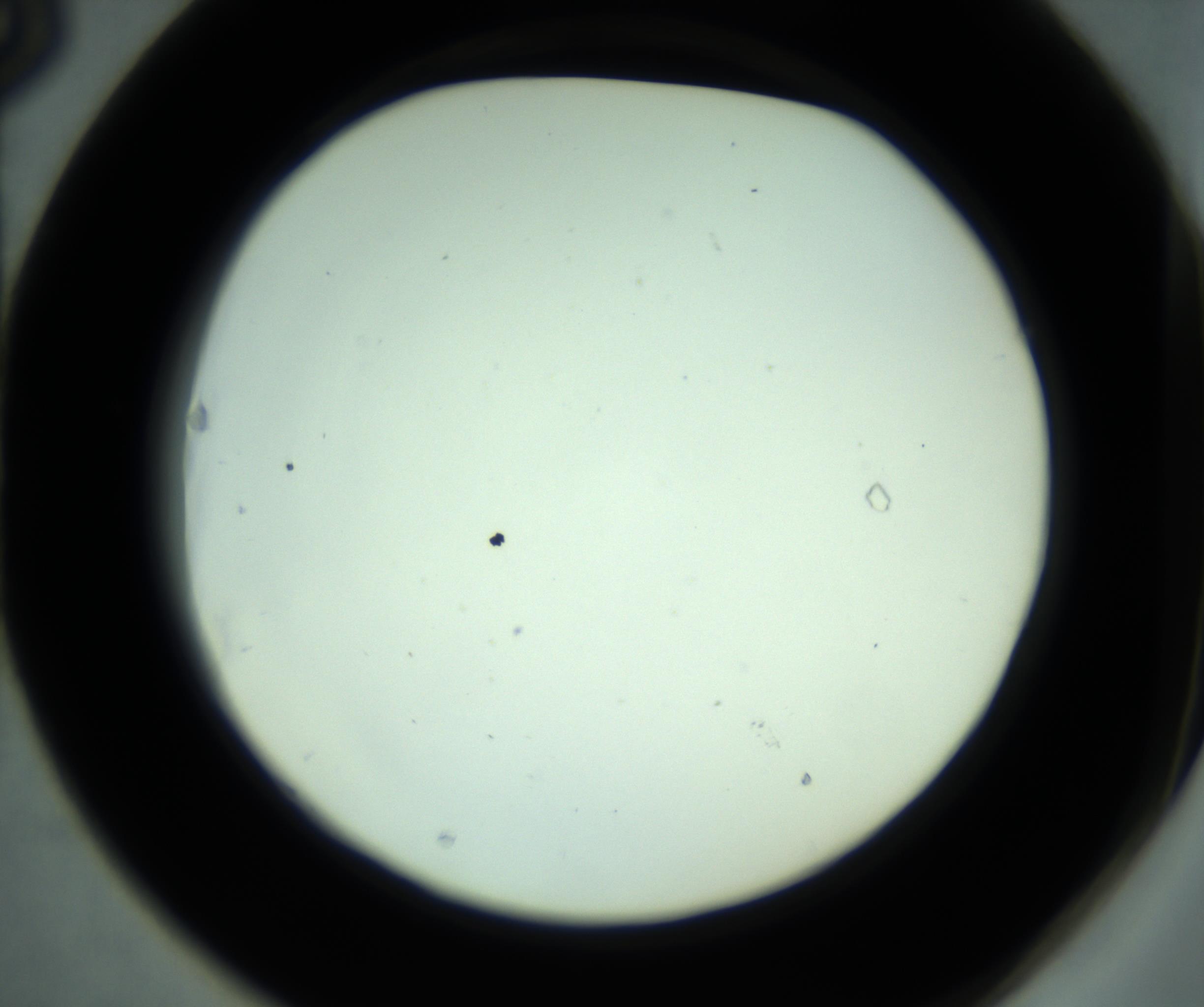 RI01_03_000_0212_Proj1_Clon1_MC_0000MC102881_001_161021_03_06_02_00_98_002_001_RAI.jpg