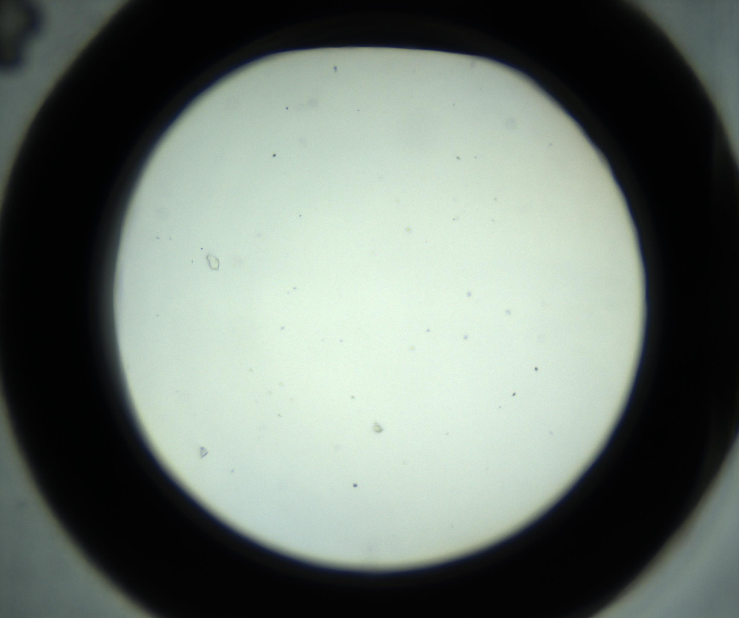RI01_03_000_0212_Proj1_Clon1_MC_0000MC102881_001_161021_04_04_02_00_98_002_001_RAI.jpg