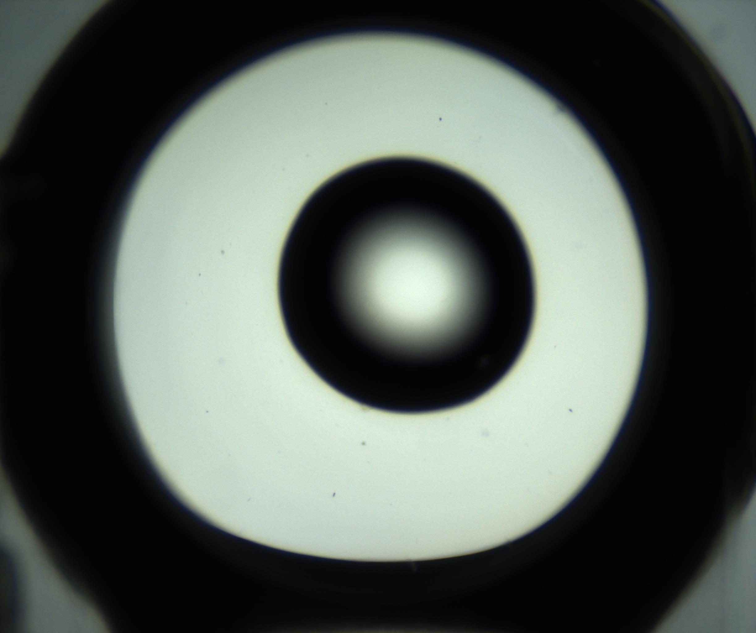 RI01_03_000_0212_Proj1_Clon1_MC_0000MC102881_001_161021_04_06_01_00_98_002_001_RAI.jpg