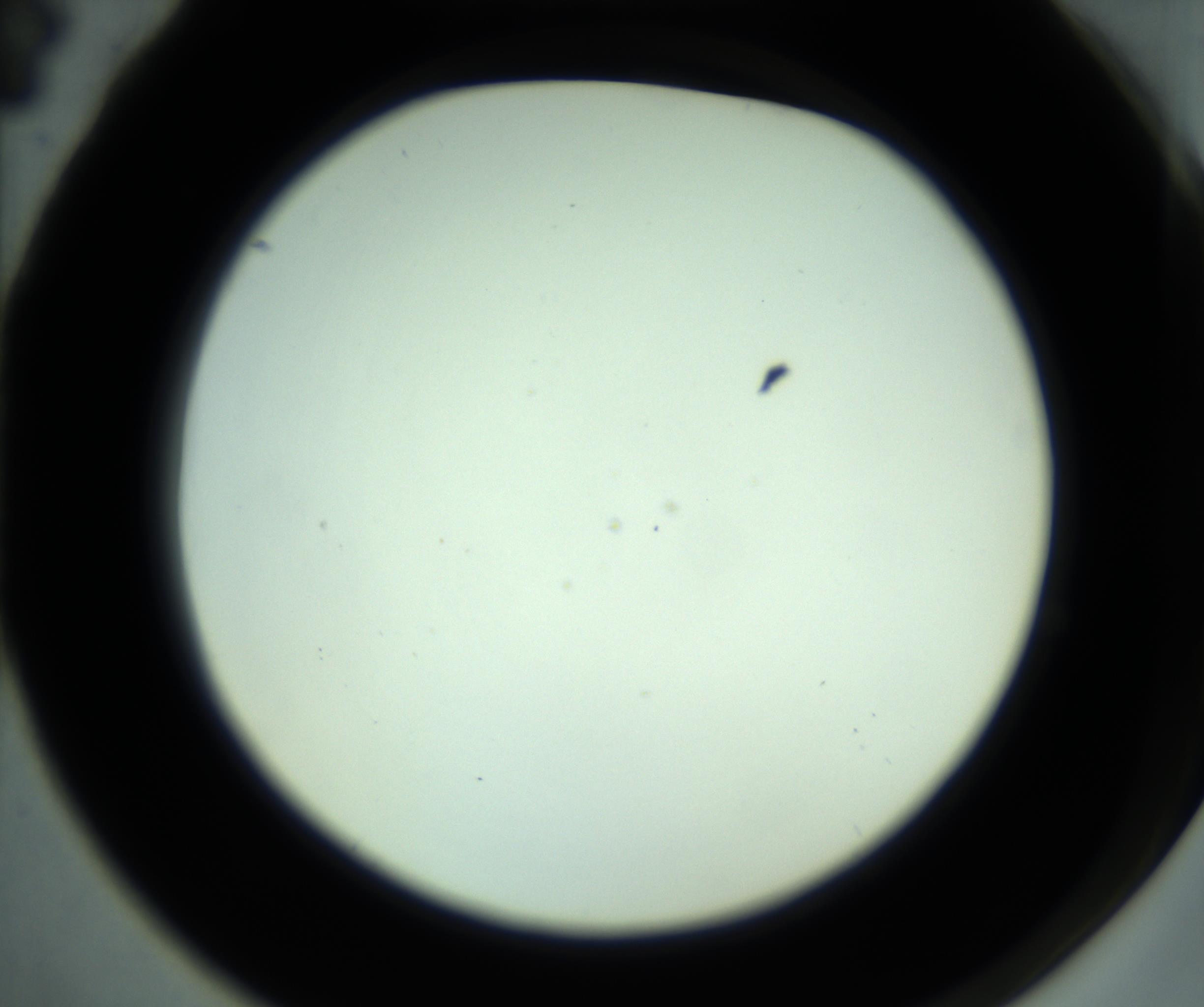 RI01_03_000_0212_Proj1_Clon1_MC_0000MC102881_001_161021_04_06_02_00_98_002_001_RAI.jpg