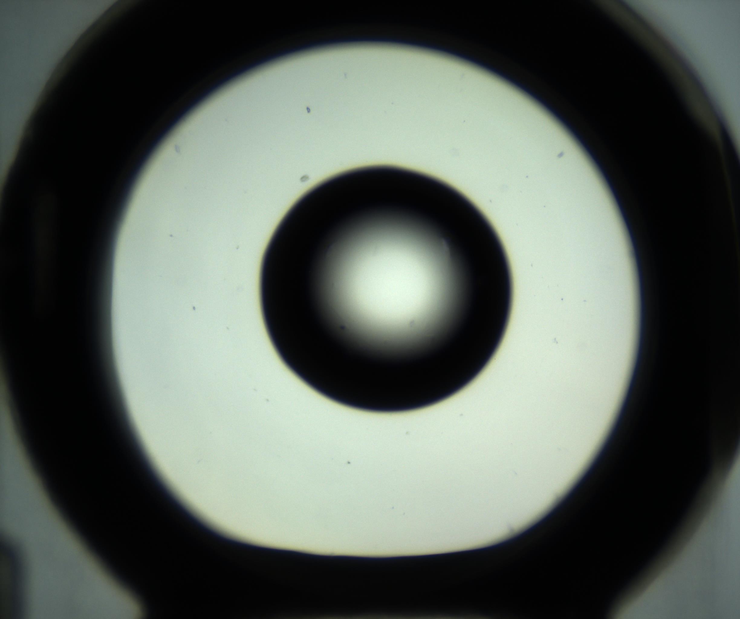 RI01_03_000_0212_Proj1_Clon1_MC_0000MC102881_001_161021_04_08_01_00_98_002_001_RAI.jpg