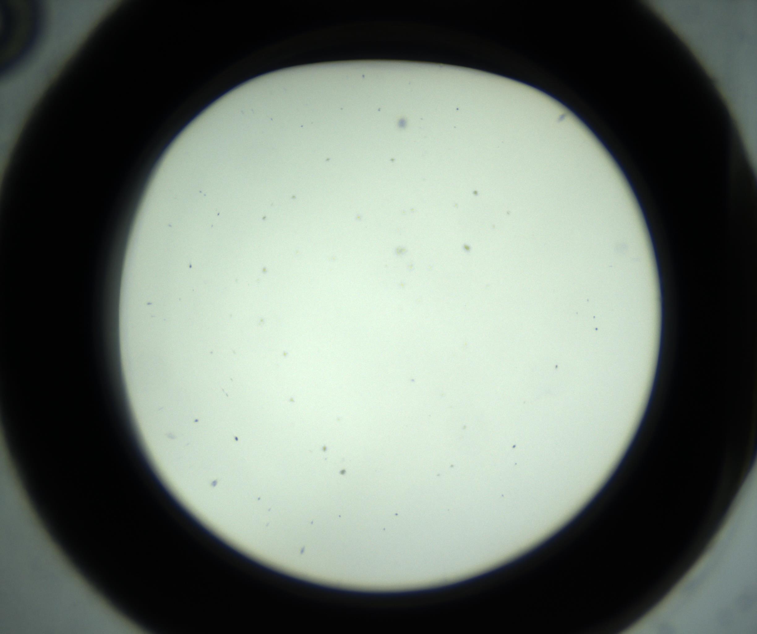 RI01_03_000_0212_Proj1_Clon1_MC_0000MC102881_001_161021_05_01_02_00_98_002_001_RAI.jpg