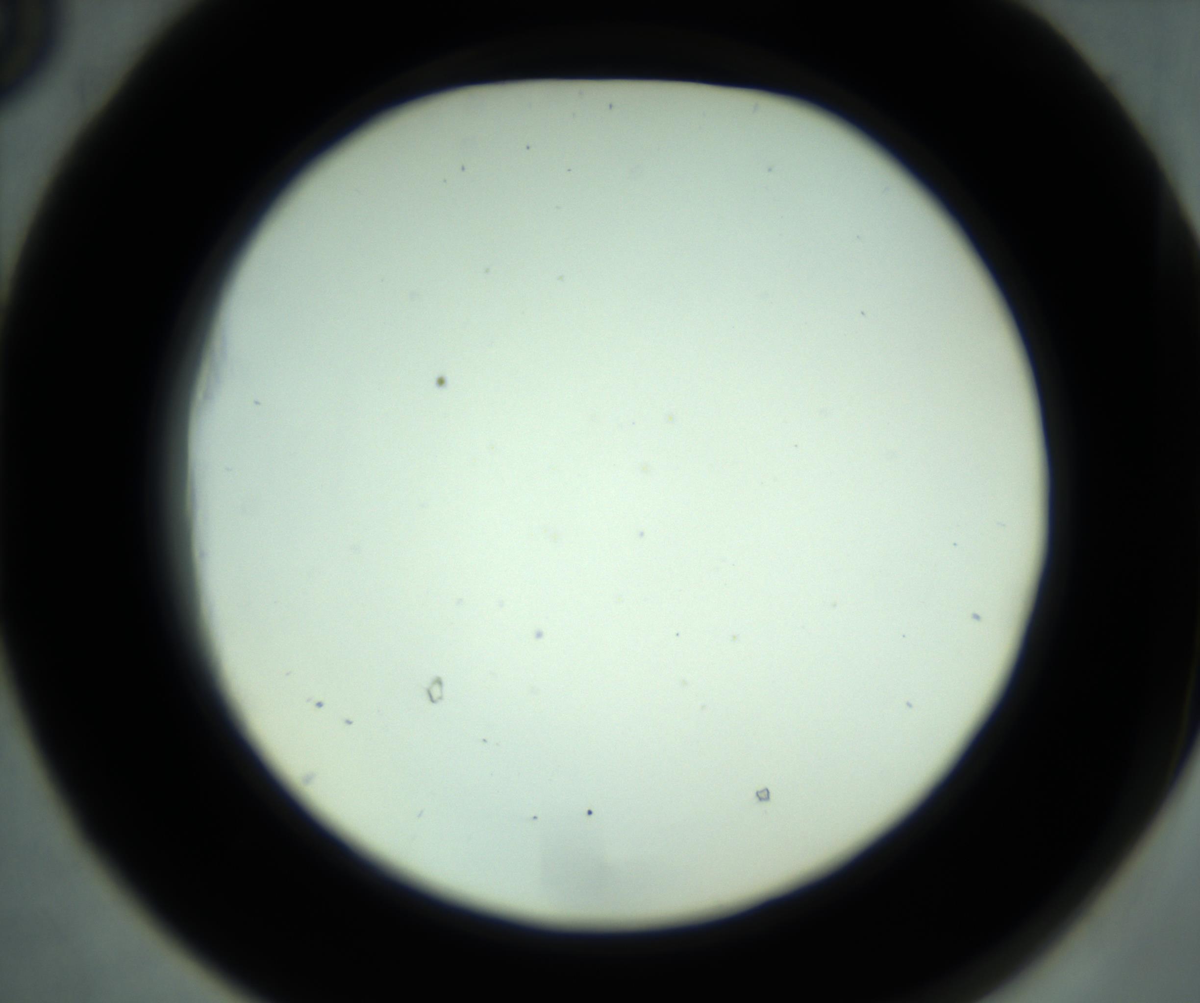 RI01_03_000_0212_Proj1_Clon1_MC_0000MC102881_001_161021_05_05_02_00_98_002_001_RAI.jpg