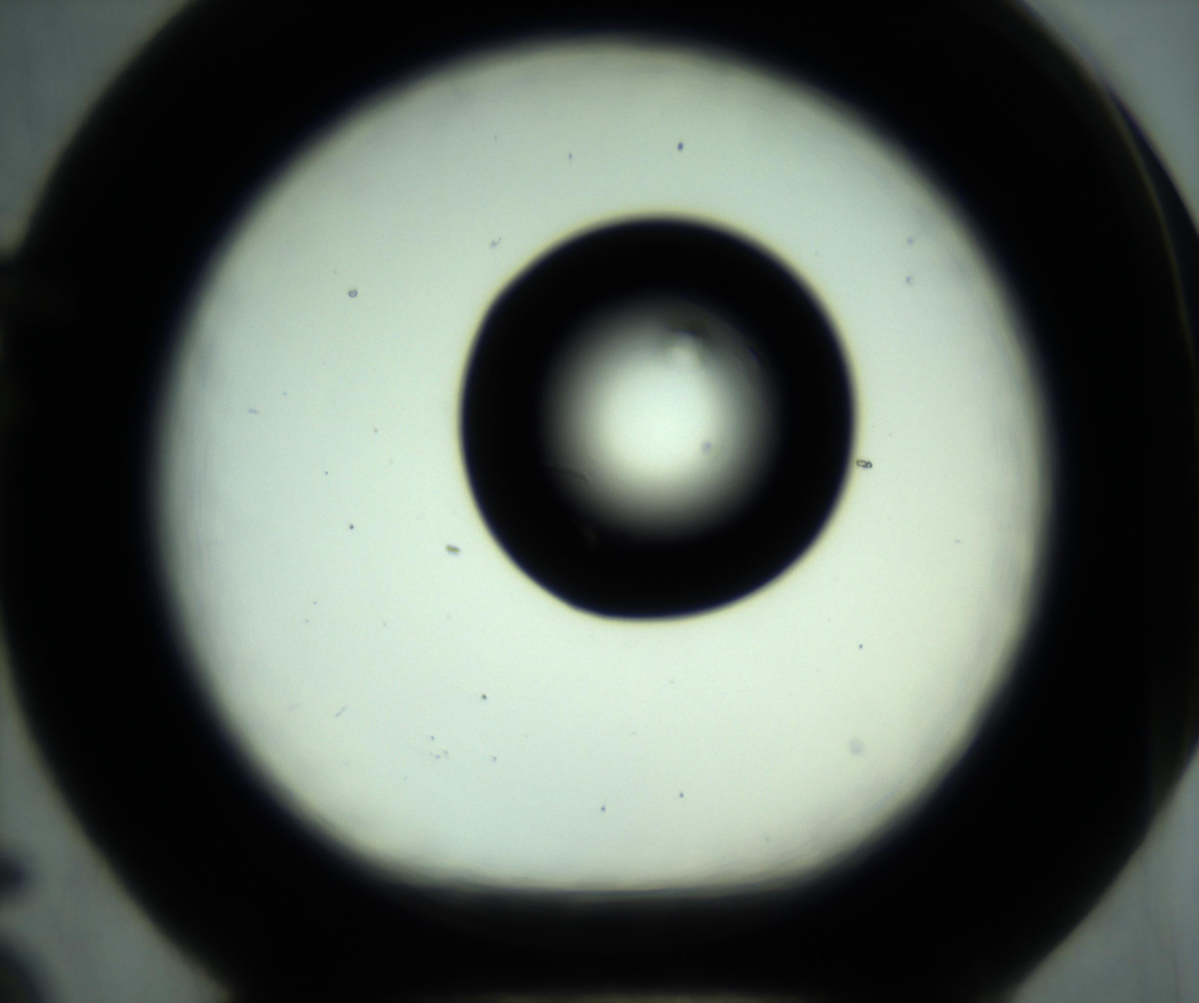 RI01_03_000_0212_Proj1_Clon1_MC_0000MC102881_001_161021_05_06_01_00_98_002_001_RAI.jpg