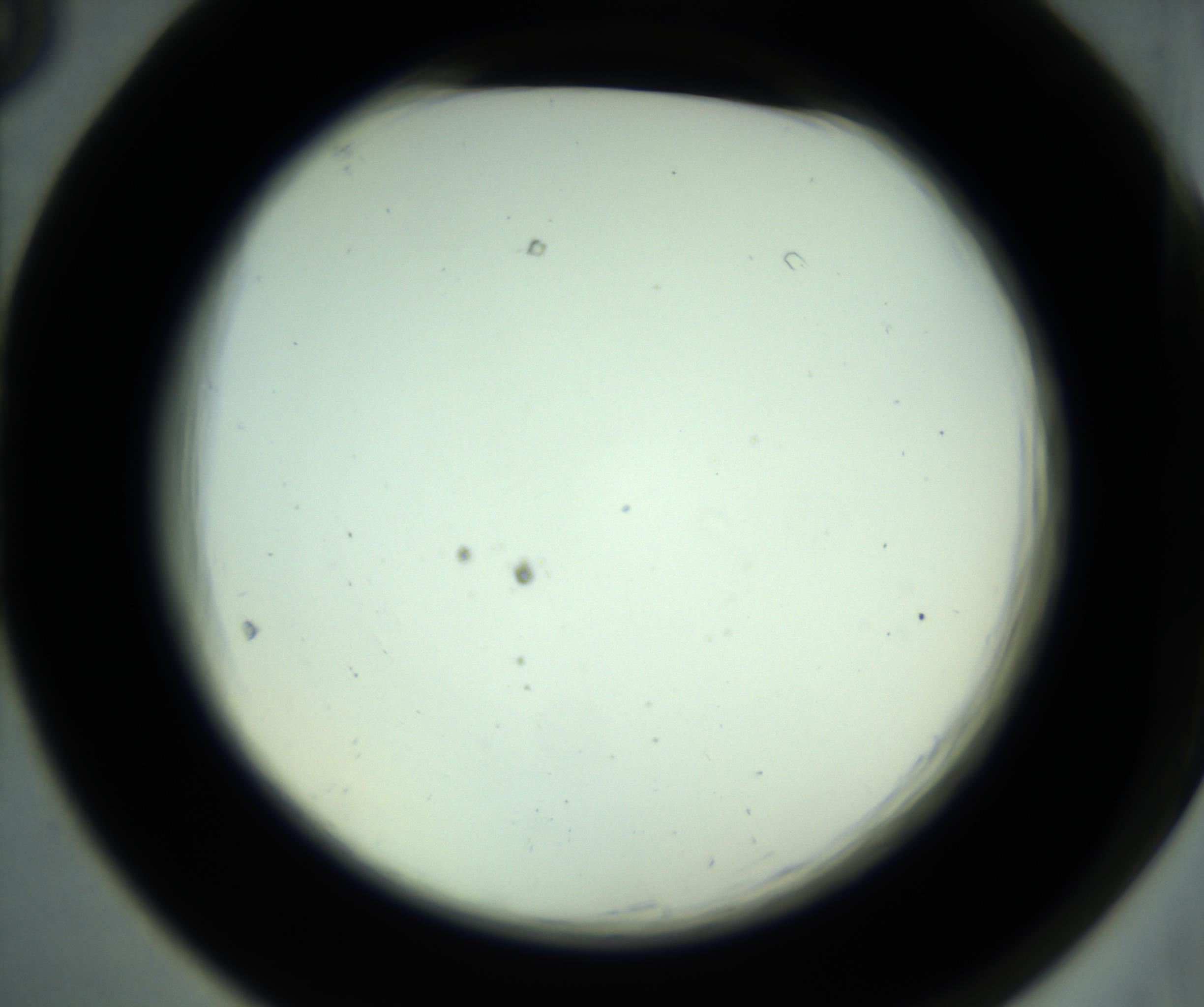 RI01_03_000_0212_Proj1_Clon1_MC_0000MC102881_001_161021_05_06_02_00_98_002_001_RAI.jpg