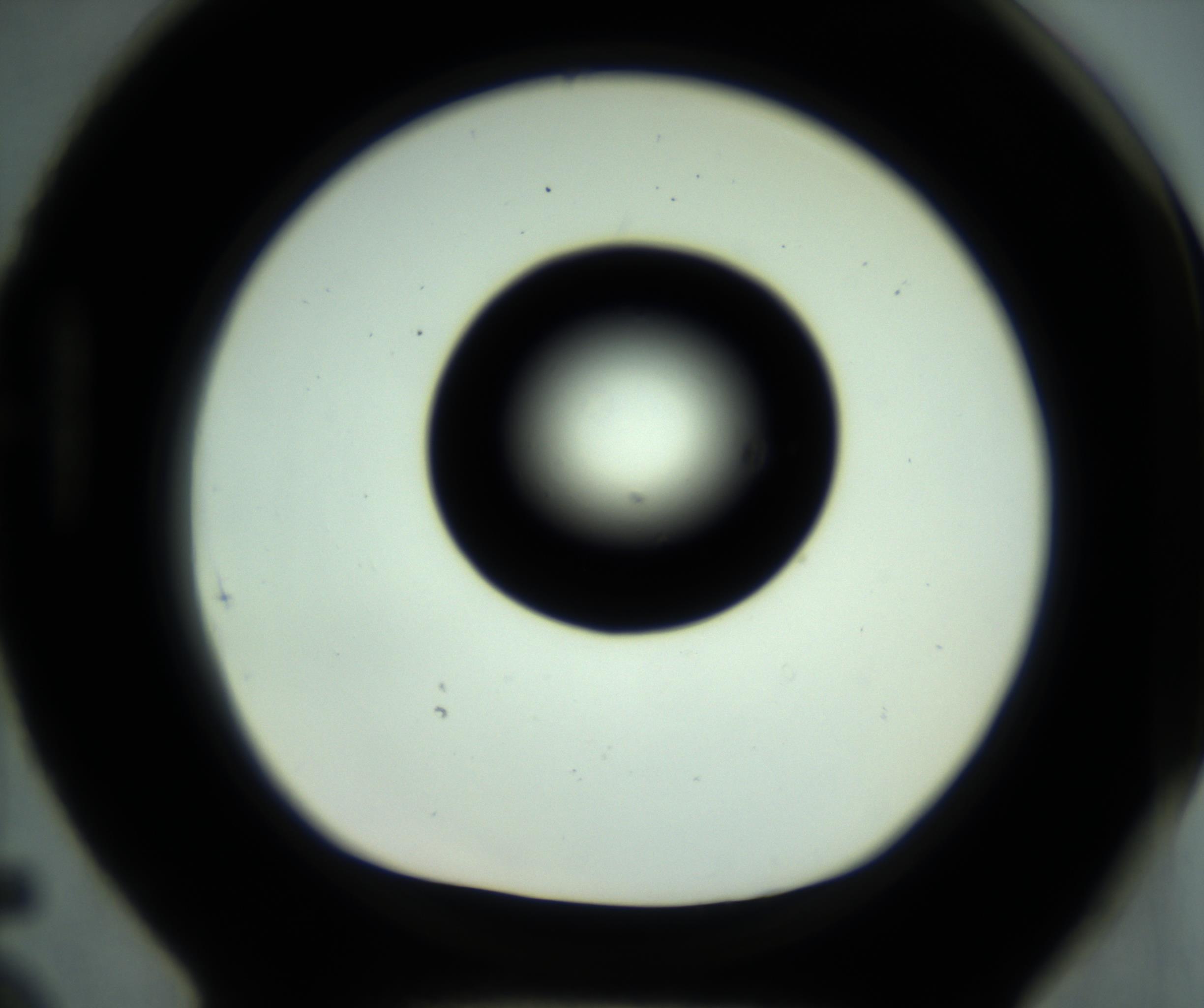 RI01_03_000_0212_Proj1_Clon1_MC_0000MC102881_001_161021_05_08_01_00_98_002_001_RAI.jpg