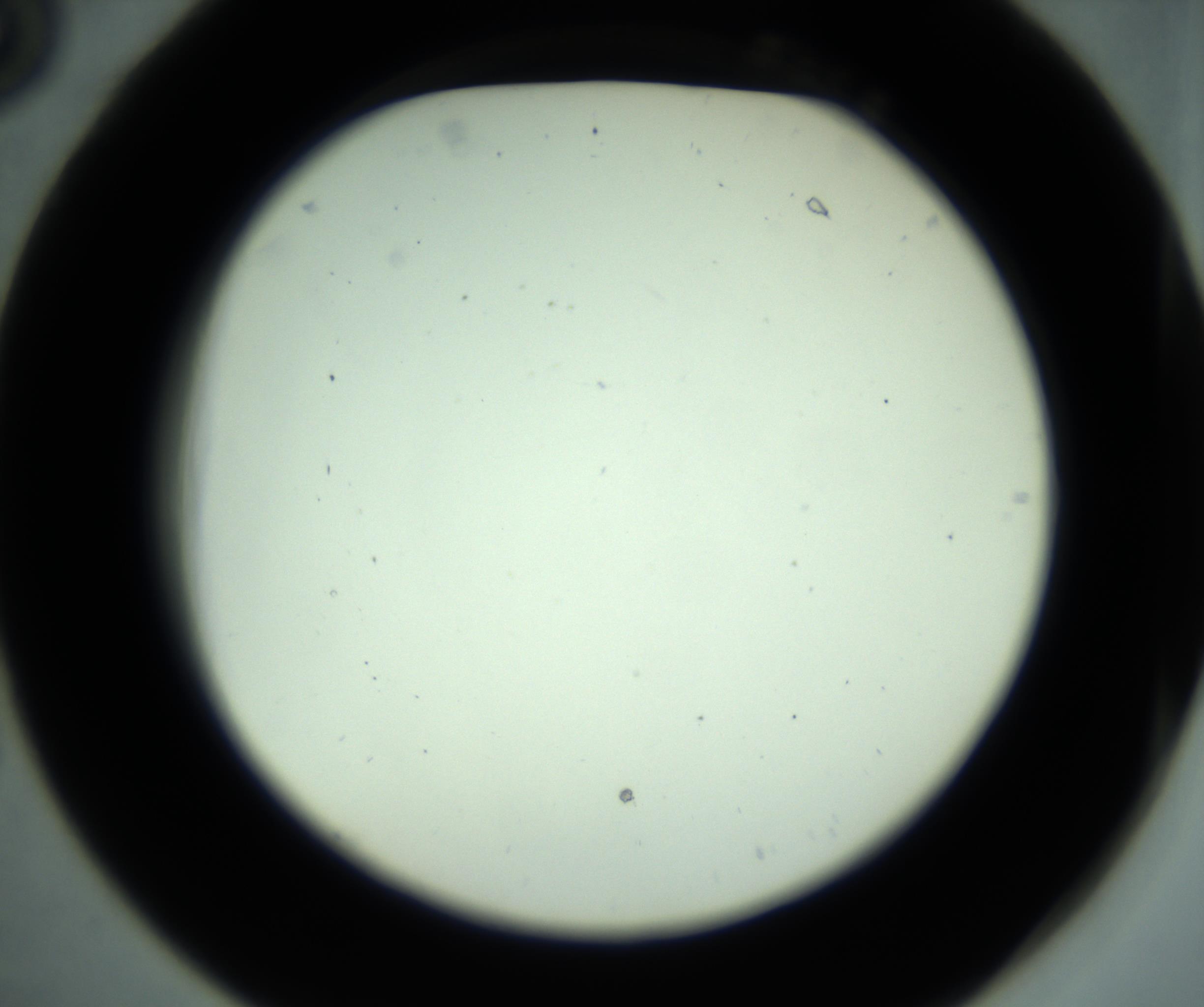 RI01_03_000_0212_Proj1_Clon1_MC_0000MC102881_001_161021_06_02_02_00_98_002_001_RAI.jpg