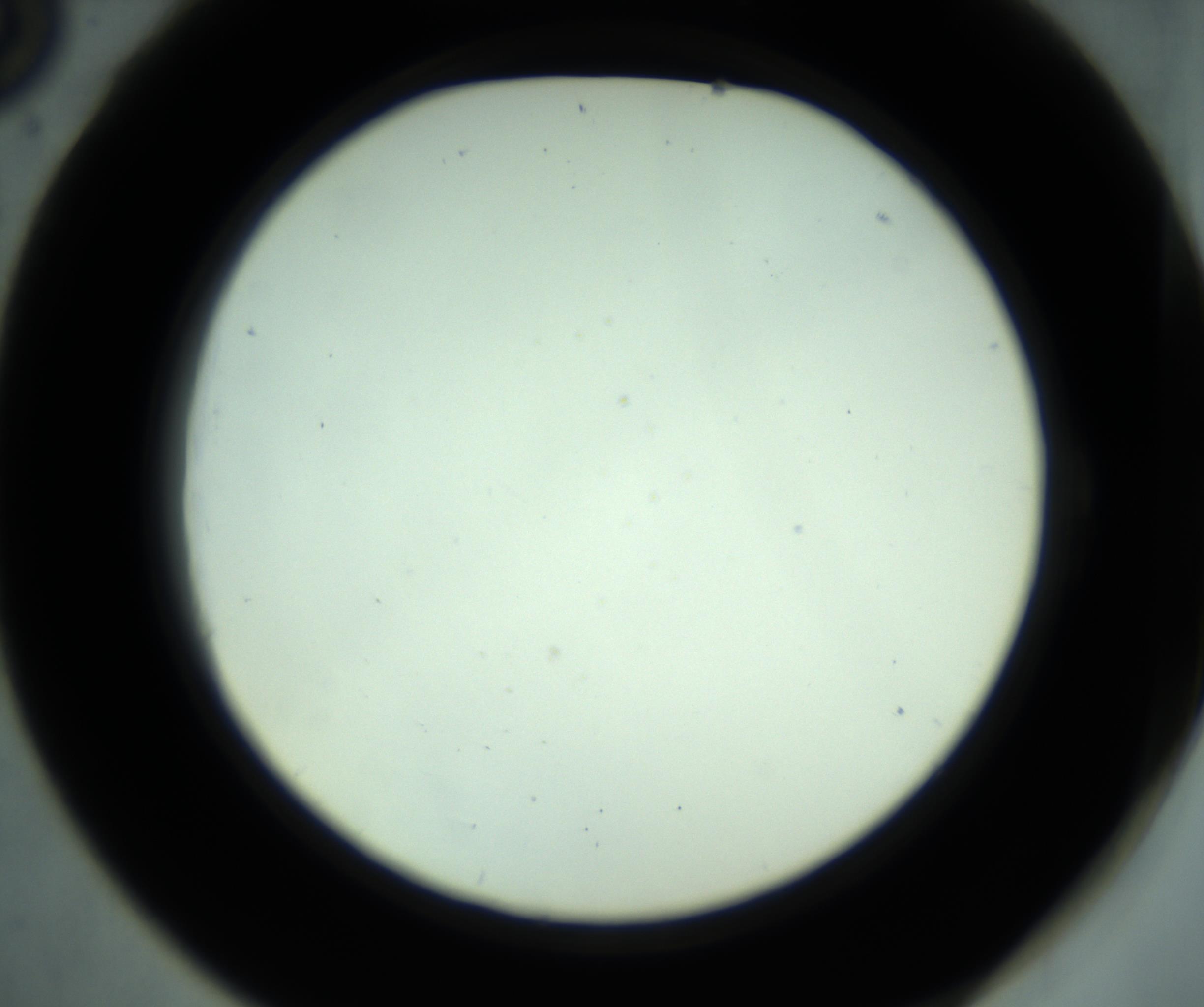 RI01_03_000_0212_Proj1_Clon1_MC_0000MC102881_001_161021_06_05_02_00_98_002_001_RAI.jpg