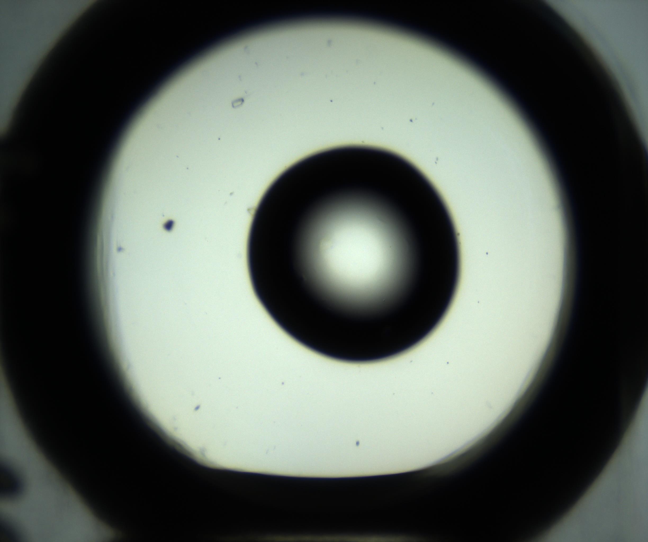 RI01_03_000_0212_Proj1_Clon1_MC_0000MC102881_001_161021_06_06_01_00_98_002_001_RAI.jpg