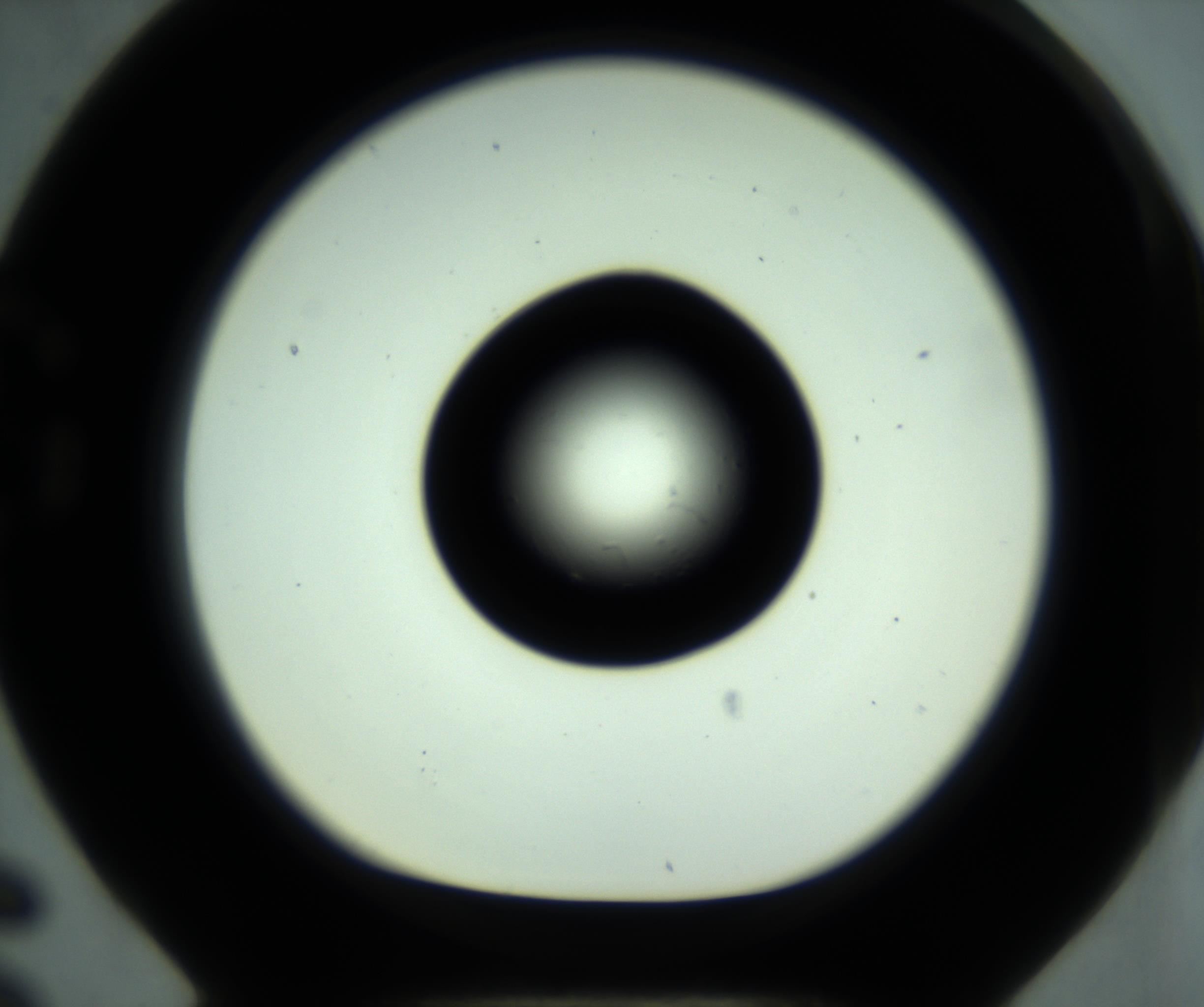 RI01_03_000_0212_Proj1_Clon1_MC_0000MC102881_001_161021_06_07_01_00_98_002_001_RAI.jpg