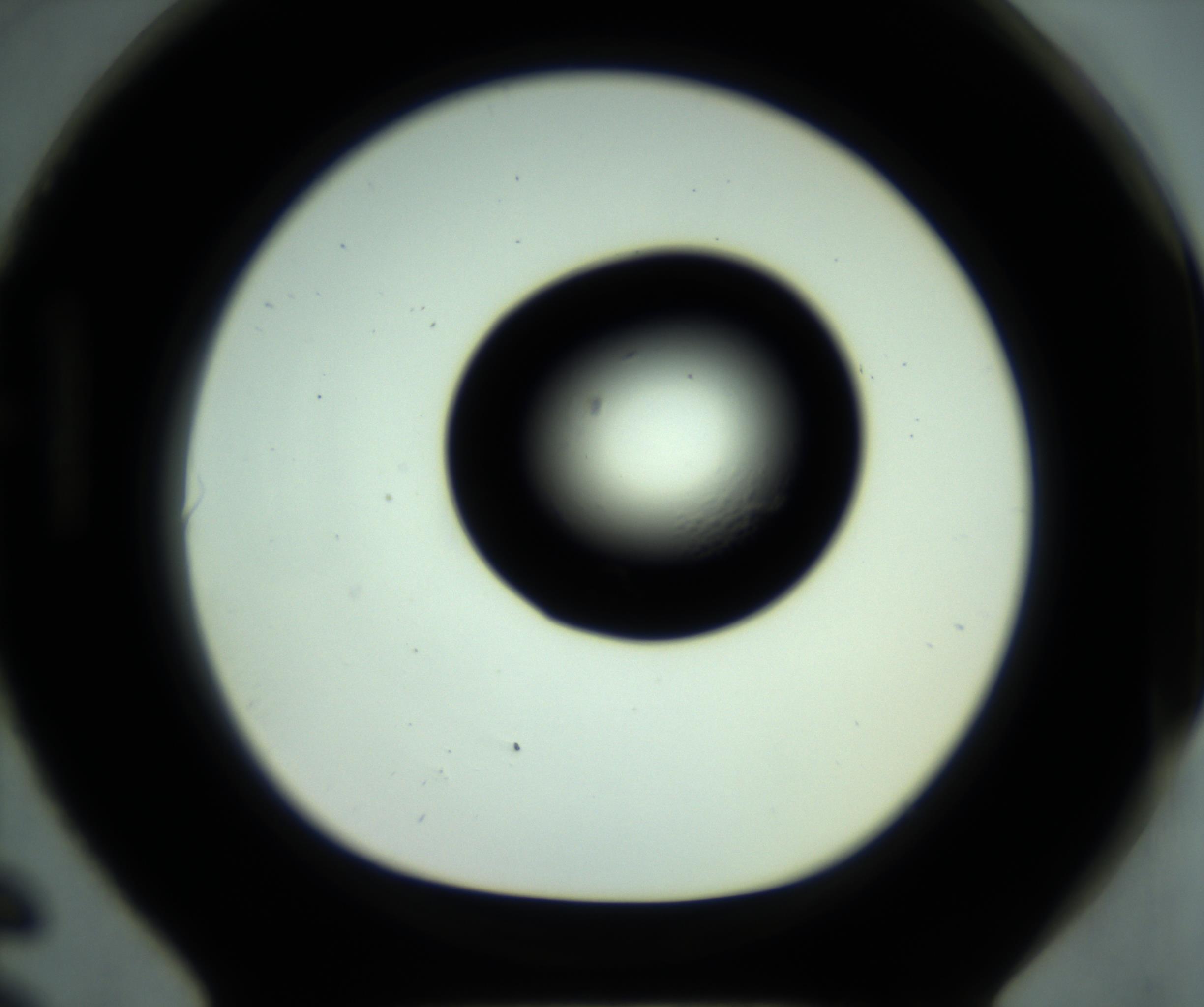RI01_03_000_0212_Proj1_Clon1_MC_0000MC102881_001_161021_06_08_01_00_98_002_001_RAI.jpg