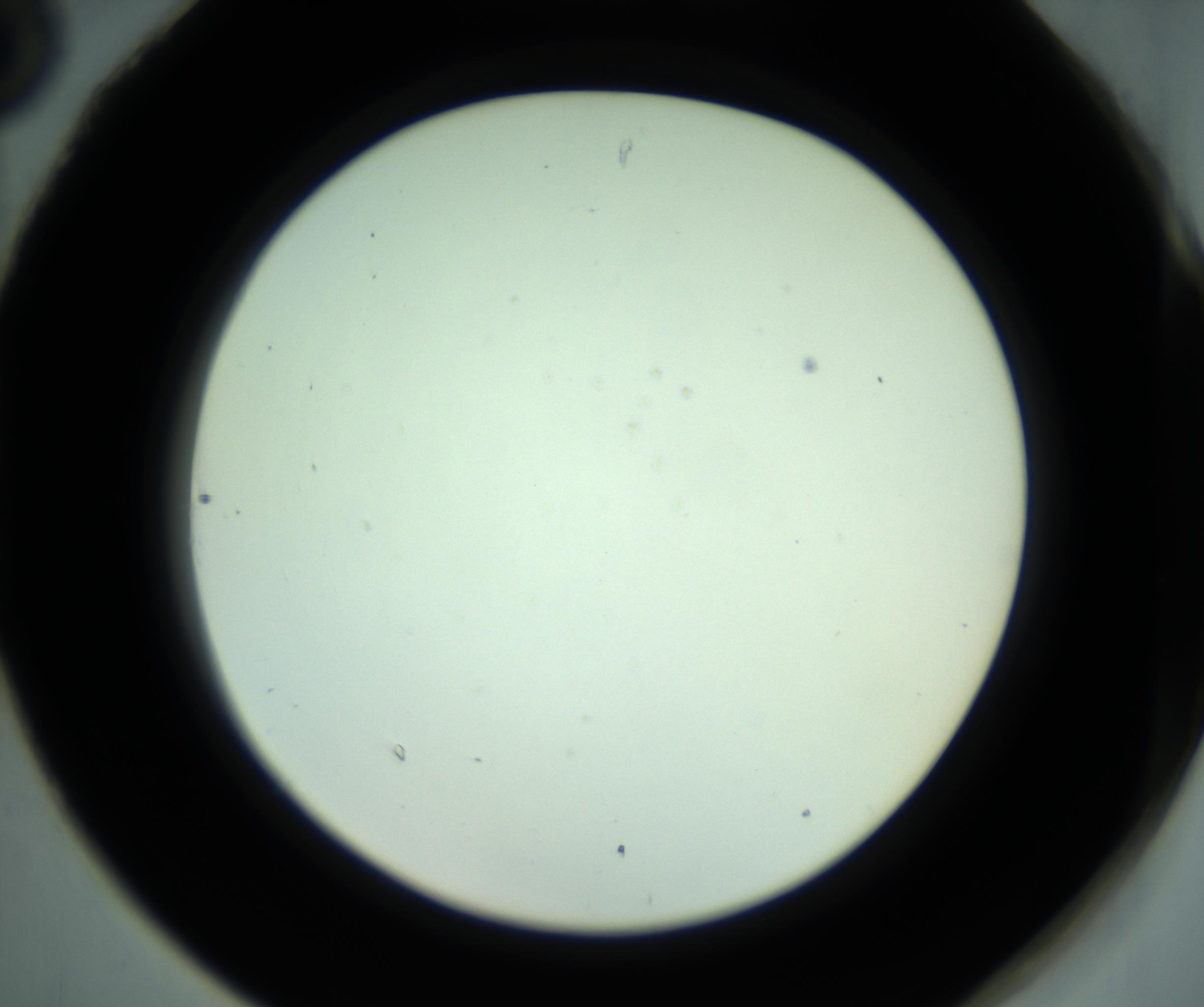 RI01_03_000_0212_Proj1_Clon1_MC_0000MC102881_001_161021_06_08_02_00_98_002_001_RAI.jpg