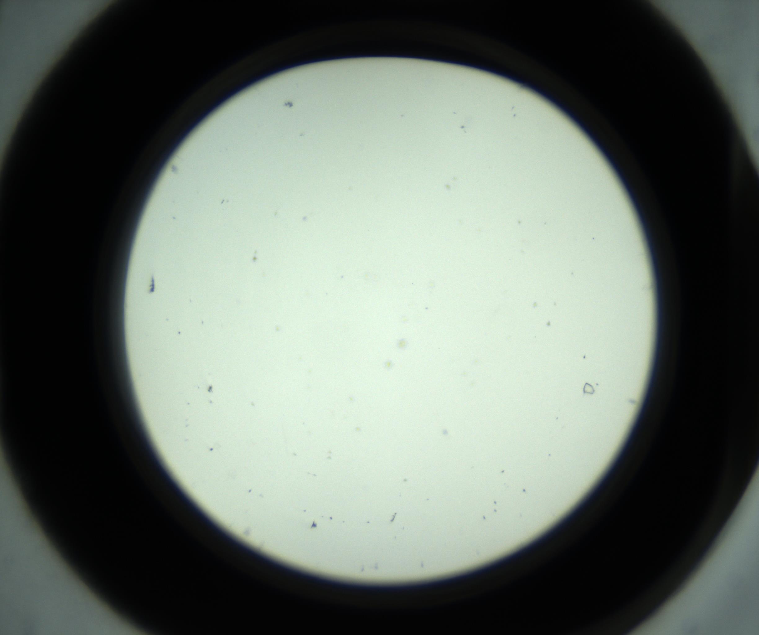 RI01_03_000_0212_Proj1_Clon1_MC_0000MC102881_001_161021_07_01_02_00_98_002_001_RAI.jpg