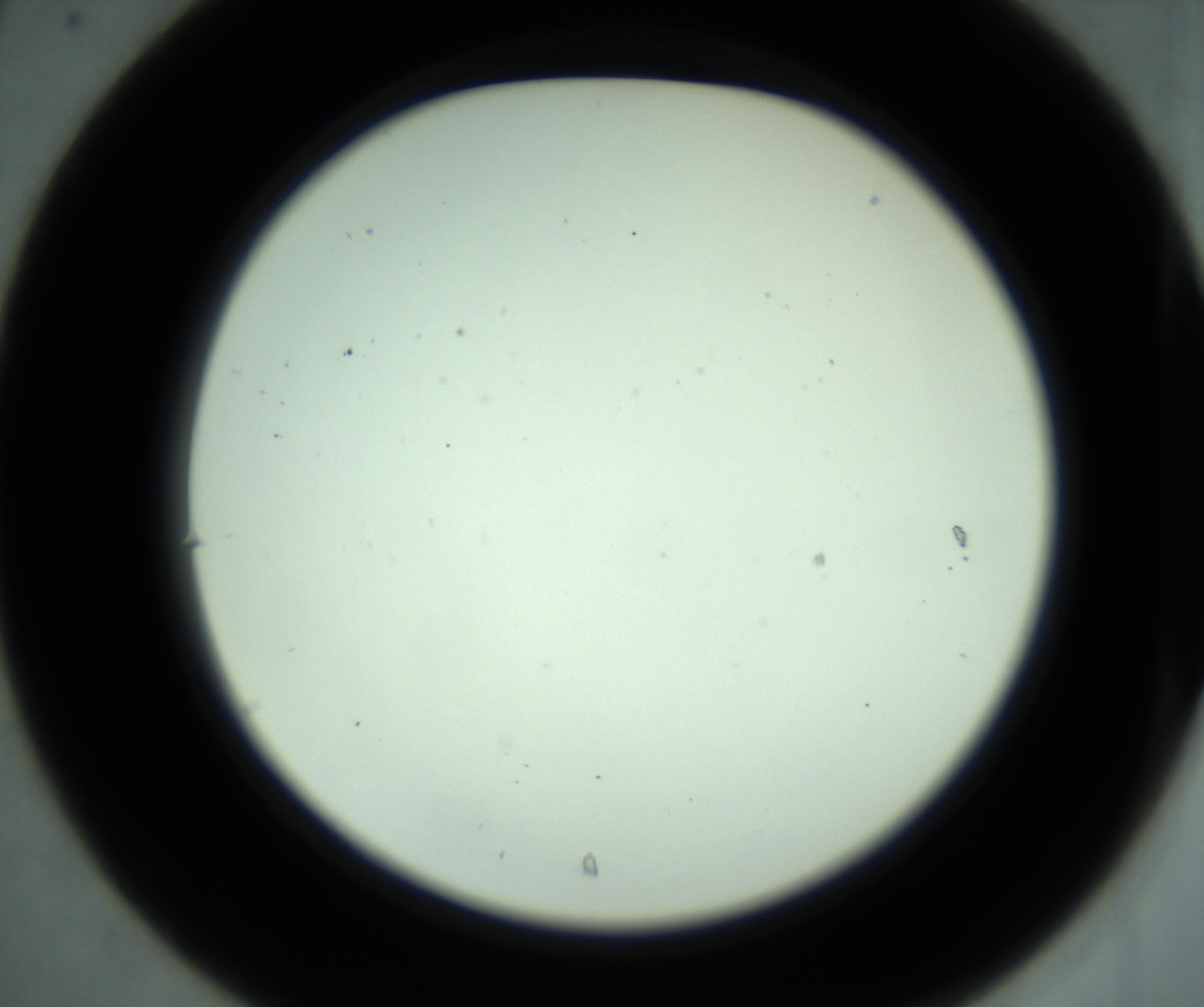 RI01_03_000_0212_Proj1_Clon1_MC_0000MC102881_001_161021_07_03_02_00_98_002_001_RAI.jpg