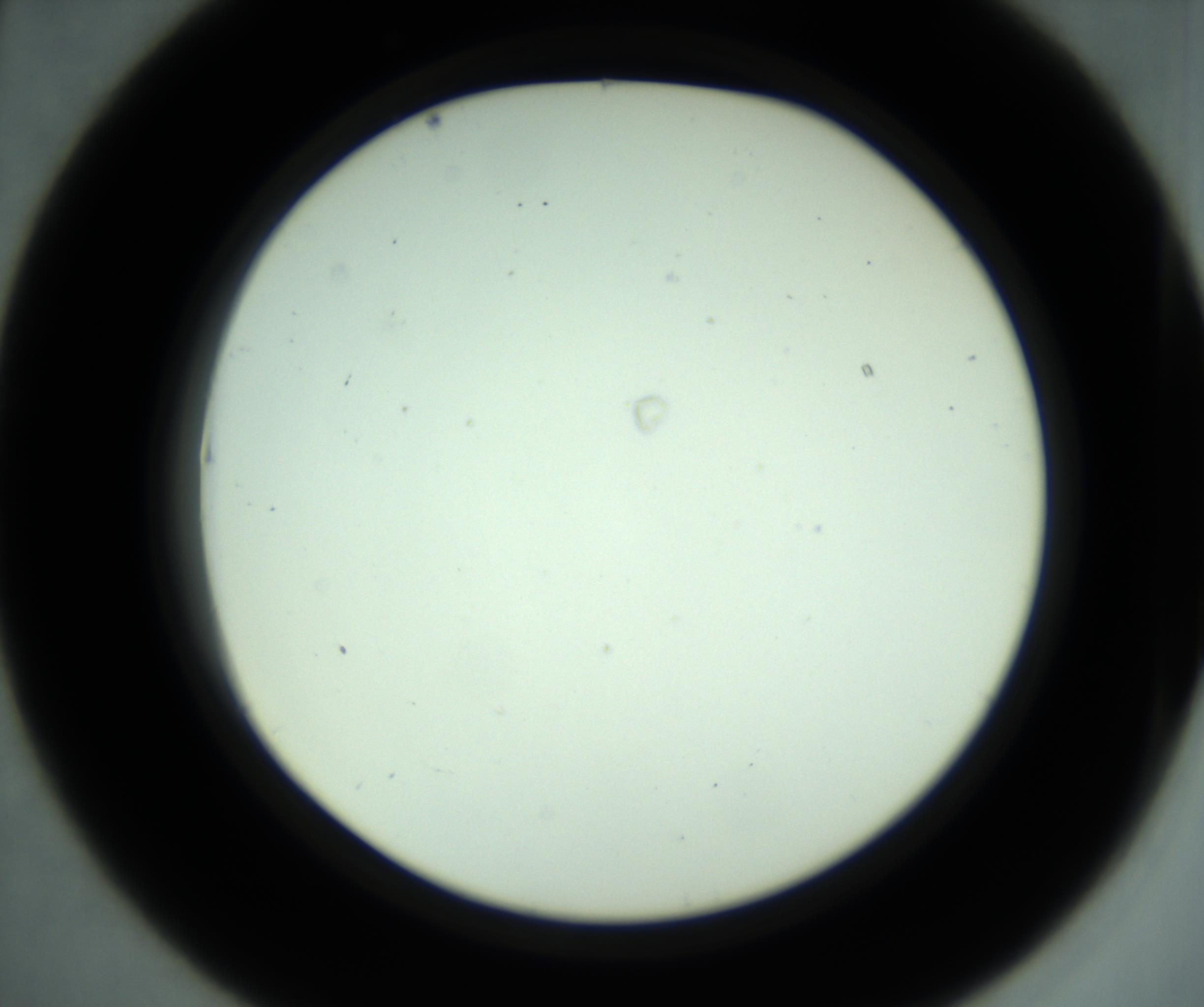 RI01_03_000_0212_Proj1_Clon1_MC_0000MC102881_001_161021_07_04_02_00_98_002_001_RAI.jpg