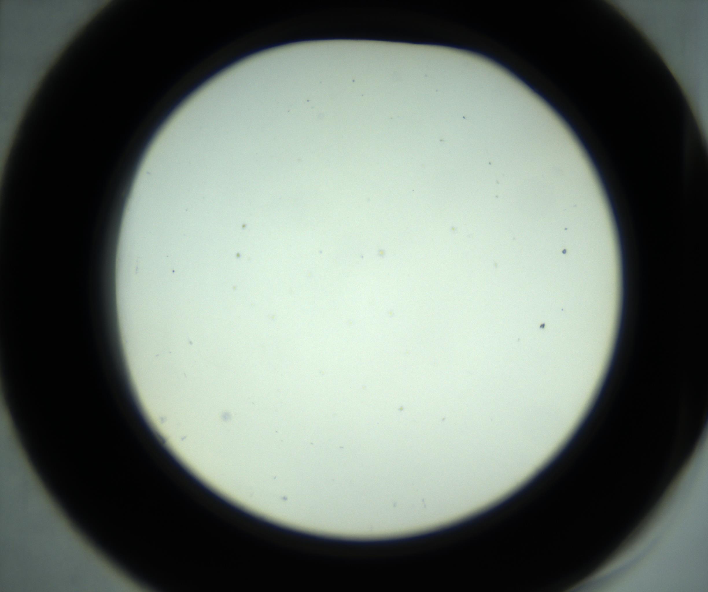 RI01_03_000_0212_Proj1_Clon1_MC_0000MC102881_001_161021_07_05_02_00_98_002_001_RAI.jpg
