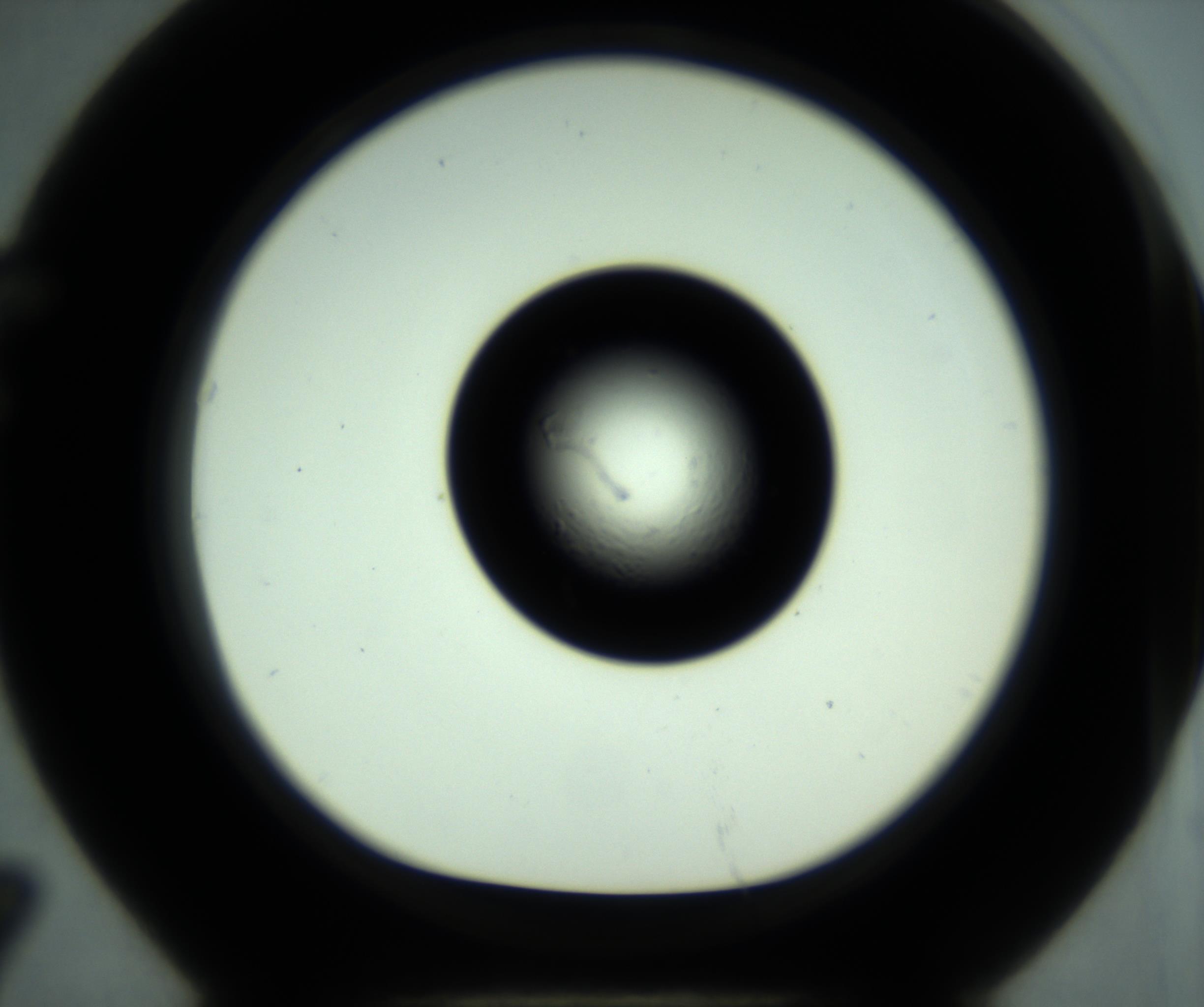 RI01_03_000_0212_Proj1_Clon1_MC_0000MC102881_001_161021_07_06_01_00_98_002_001_RAI.jpg