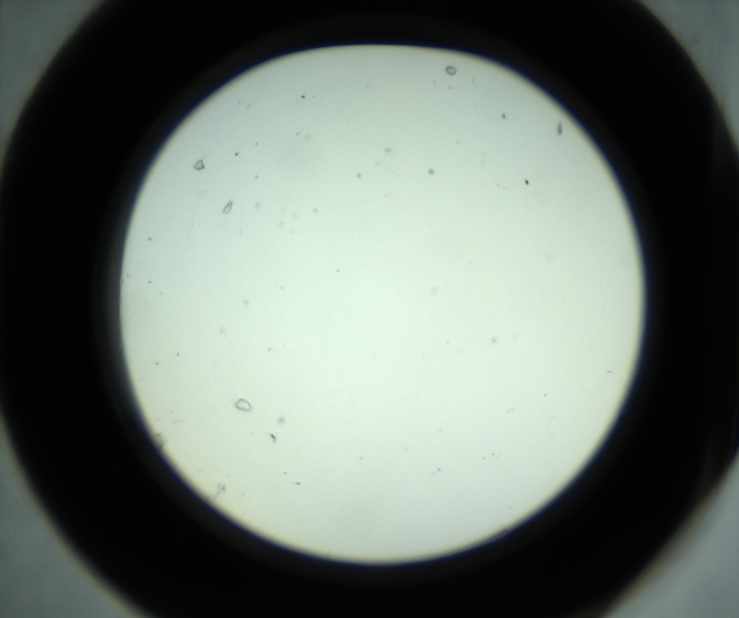 RI01_03_000_0212_Proj1_Clon1_MC_0000MC102881_001_161021_07_06_02_00_98_002_001_RAI.jpg