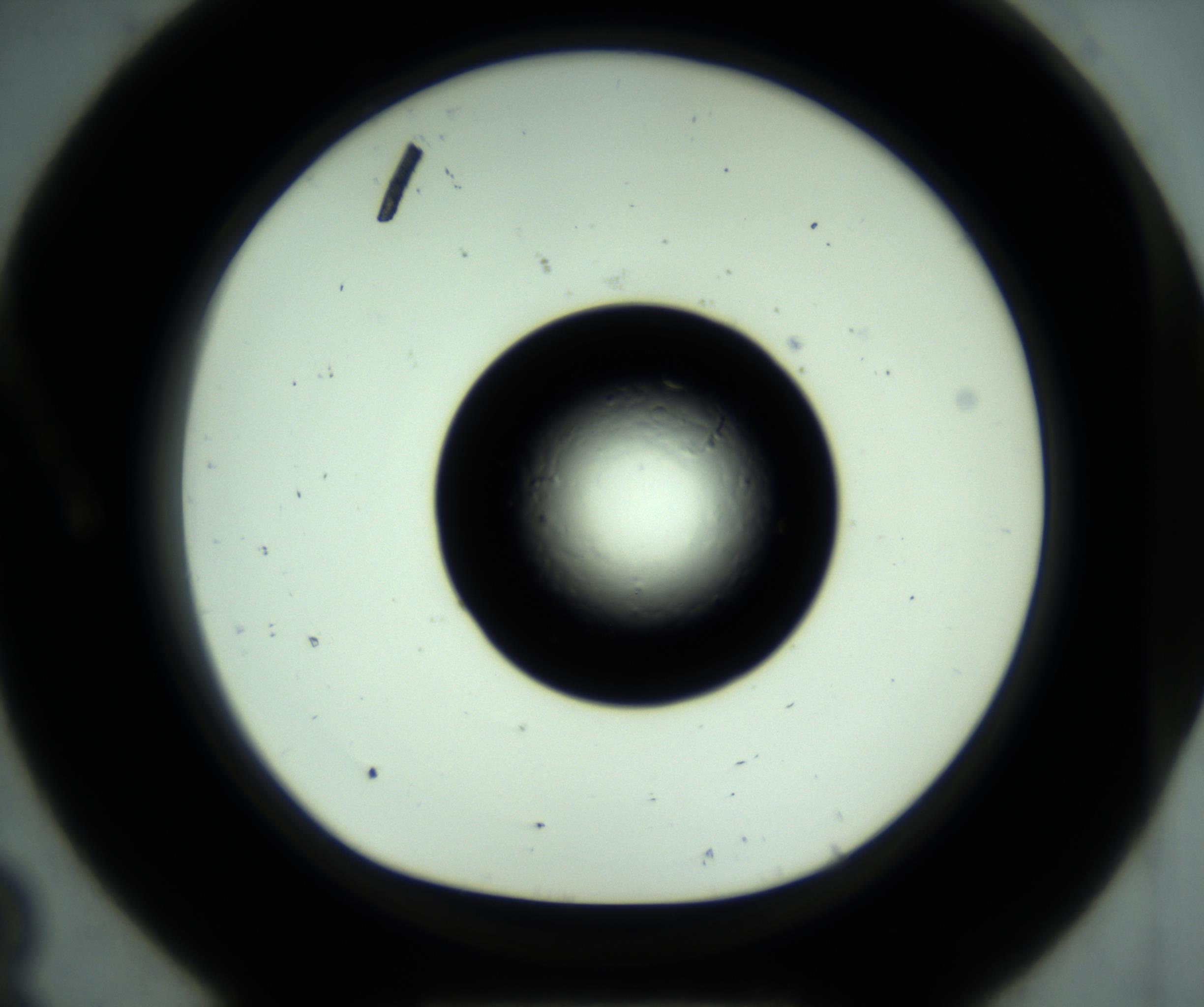 RI01_03_000_0212_Proj1_Clon1_MC_0000MC102881_001_161021_08_01_01_00_98_002_001_RAI.jpg
