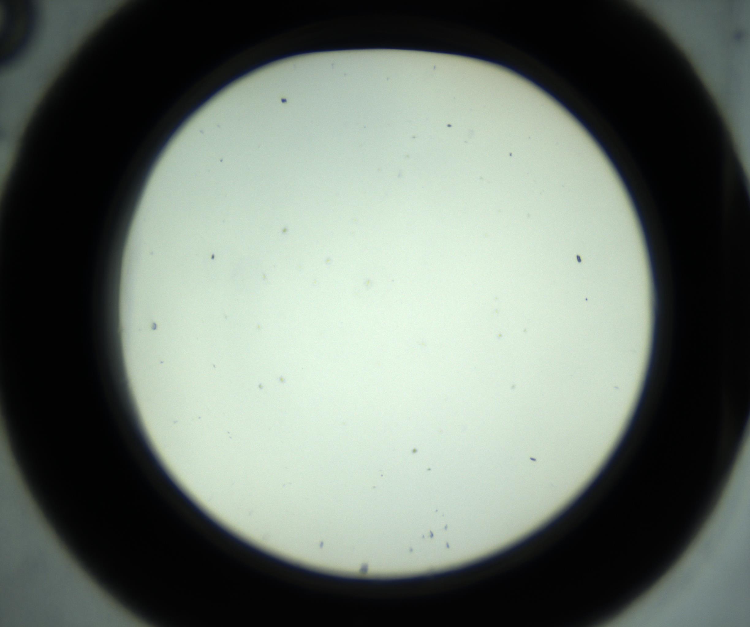 RI01_03_000_0212_Proj1_Clon1_MC_0000MC102881_001_161021_08_02_02_00_98_002_001_RAI.jpg