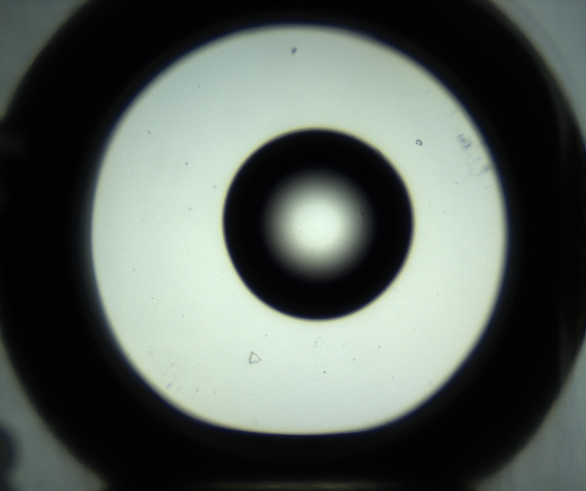 RI01_03_000_0212_Proj1_Clon1_MC_0000MC102881_001_161021_08_06_01_00_98_002_001_RAI.jpg