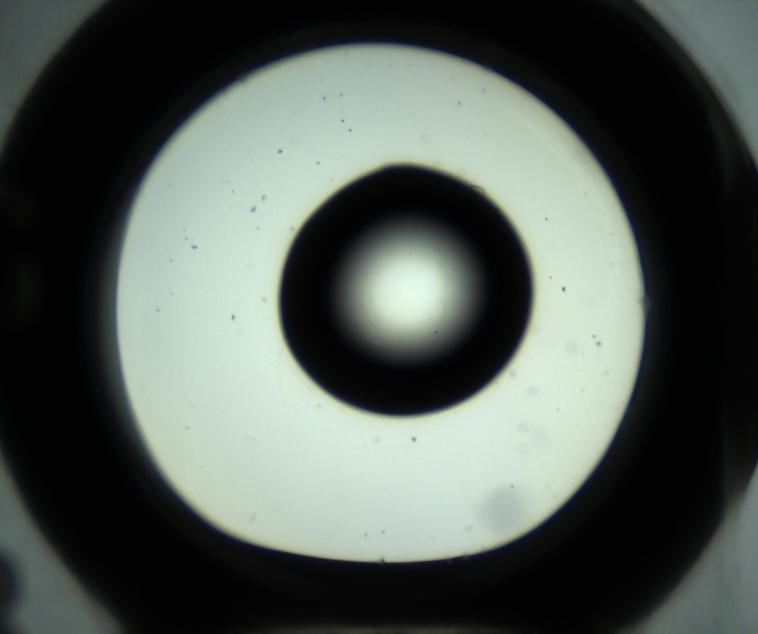 RI01_03_000_0212_Proj1_Clon1_MC_0000MC102881_001_161021_08_07_01_00_98_002_001_RAI.jpg