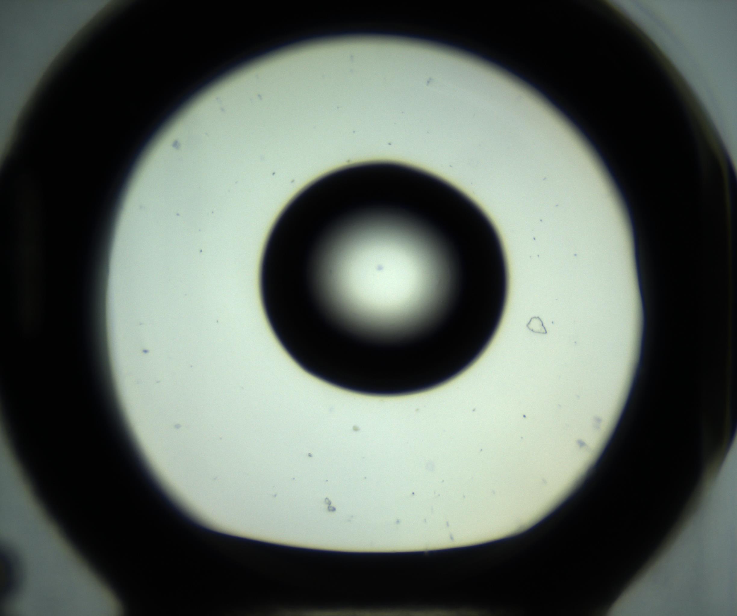 RI01_03_000_0212_Proj1_Clon1_MC_0000MC102881_001_161021_08_08_01_00_98_002_001_RAI.jpg