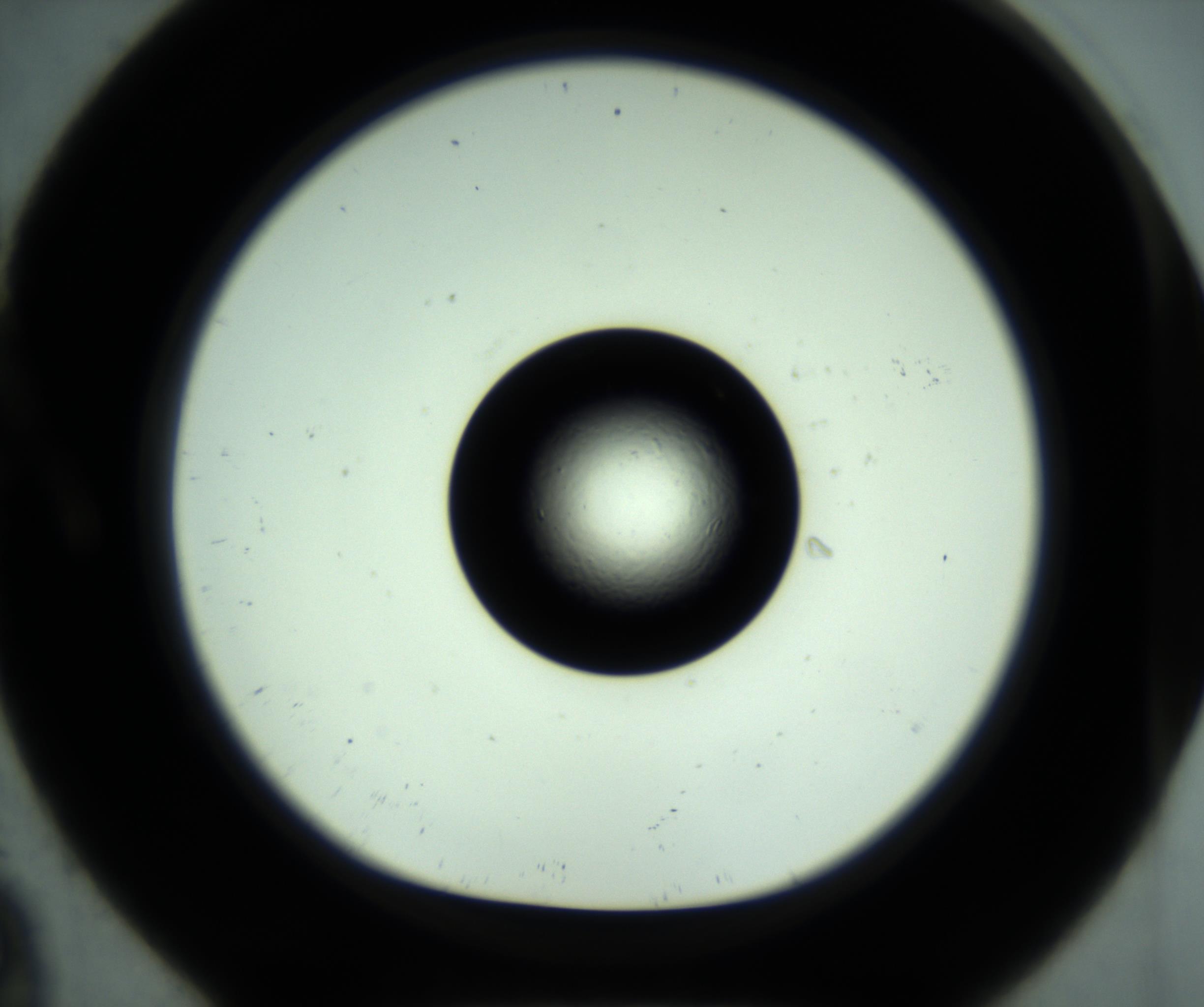 RI01_03_000_0212_Proj1_Clon1_MC_0000MC102881_001_161021_09_01_01_00_98_002_001_RAI.jpg