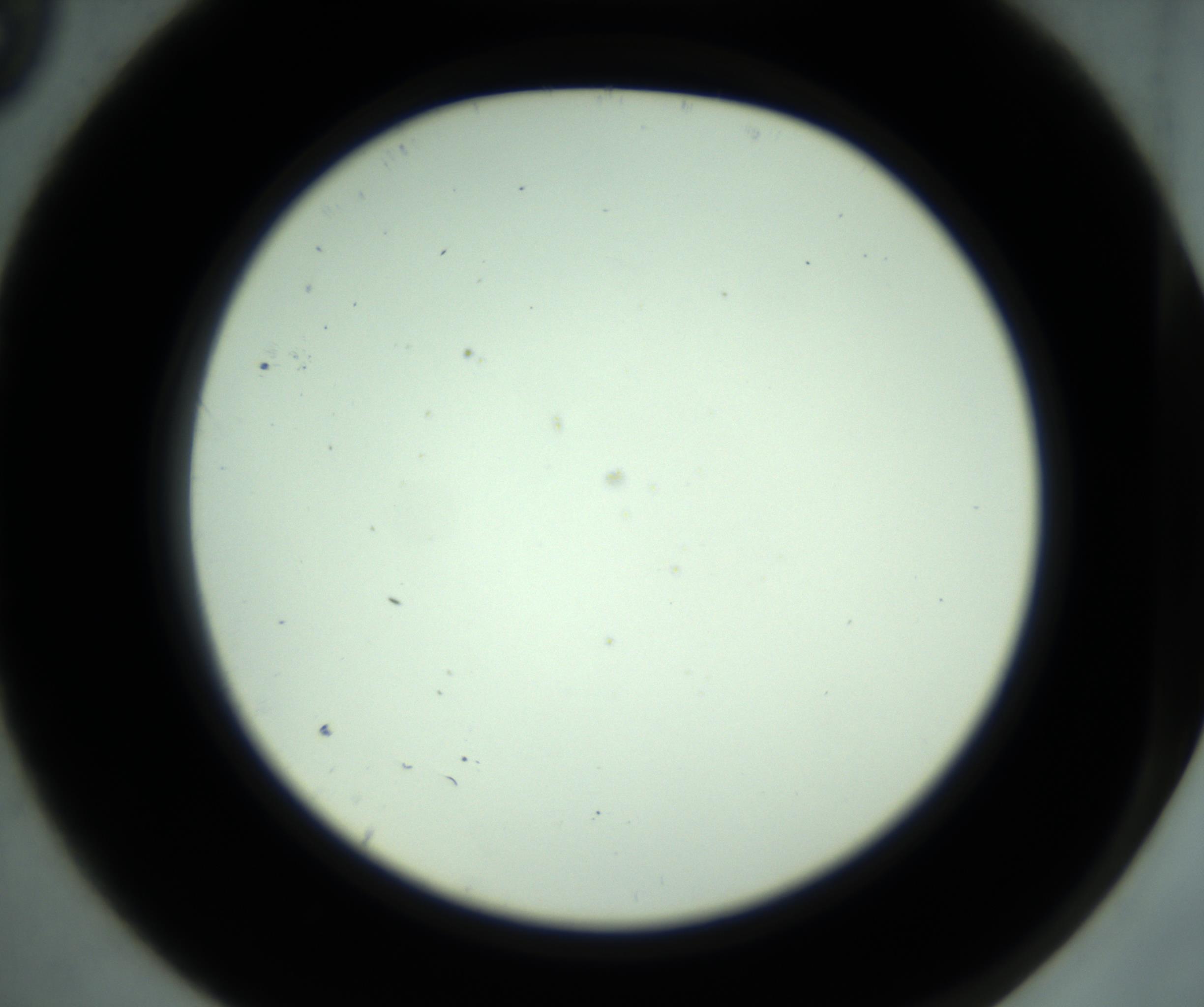 RI01_03_000_0212_Proj1_Clon1_MC_0000MC102881_001_161021_09_01_02_00_98_002_001_RAI.jpg
