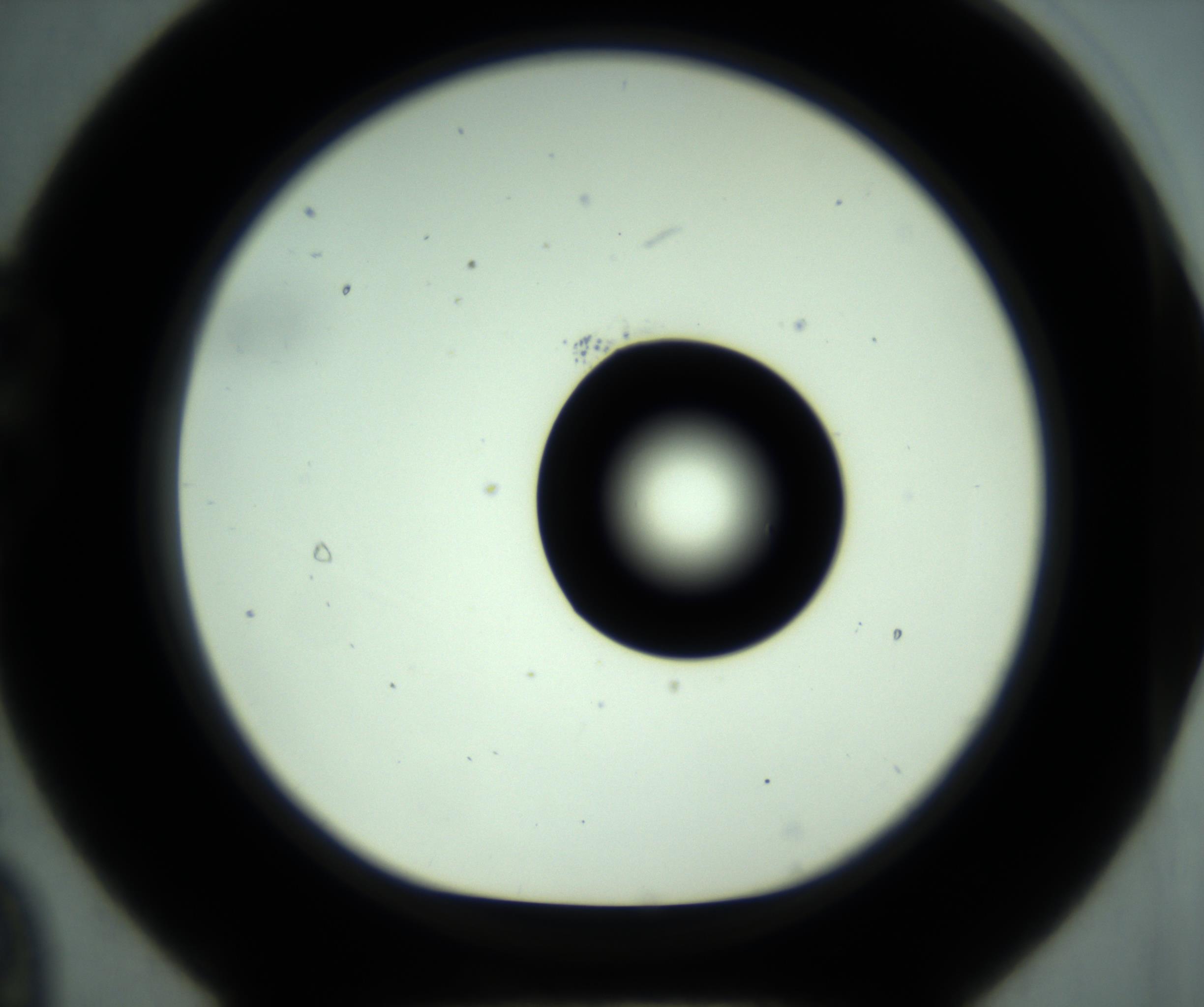 RI01_03_000_0212_Proj1_Clon1_MC_0000MC102881_001_161021_09_02_01_00_98_002_001_RAI.jpg