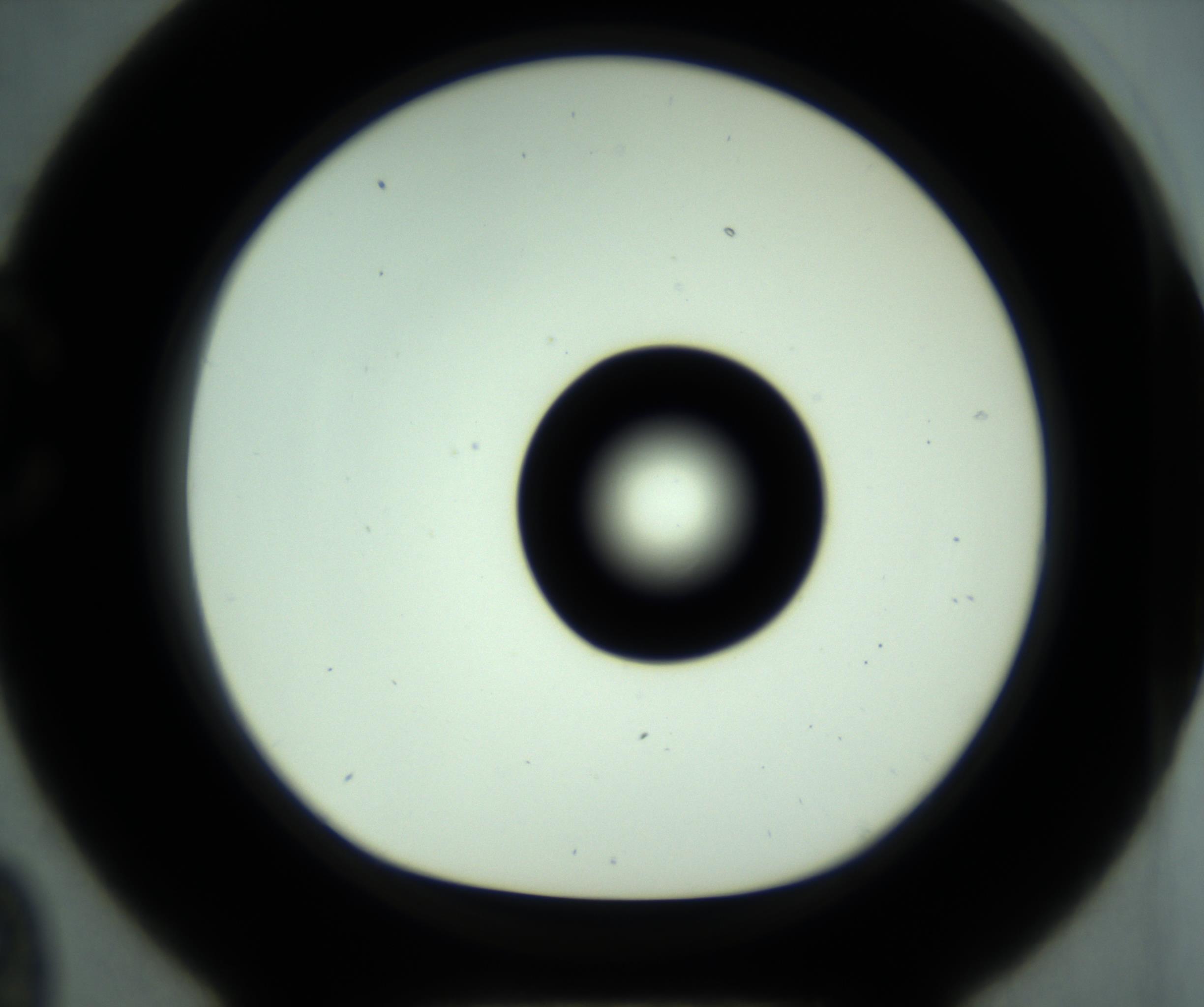 RI01_03_000_0212_Proj1_Clon1_MC_0000MC102881_001_161021_09_03_01_00_98_002_001_RAI.jpg