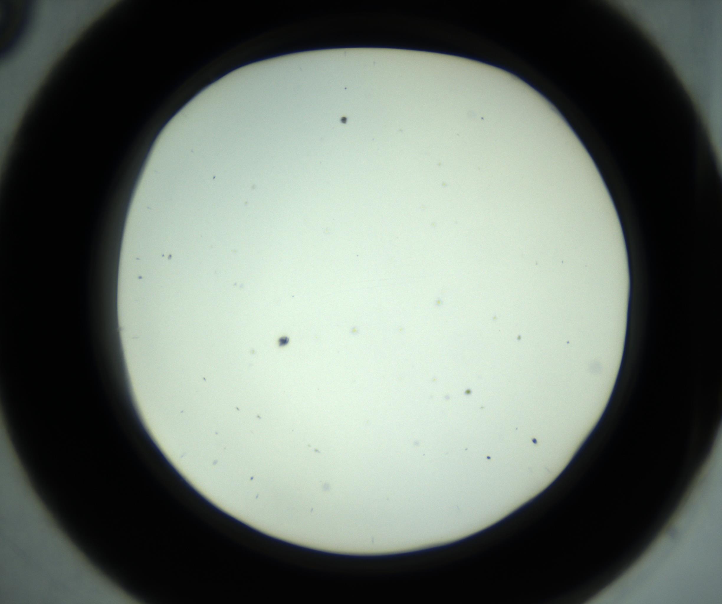 RI01_03_000_0212_Proj1_Clon1_MC_0000MC102881_001_161021_09_03_02_00_98_002_001_RAI.jpg