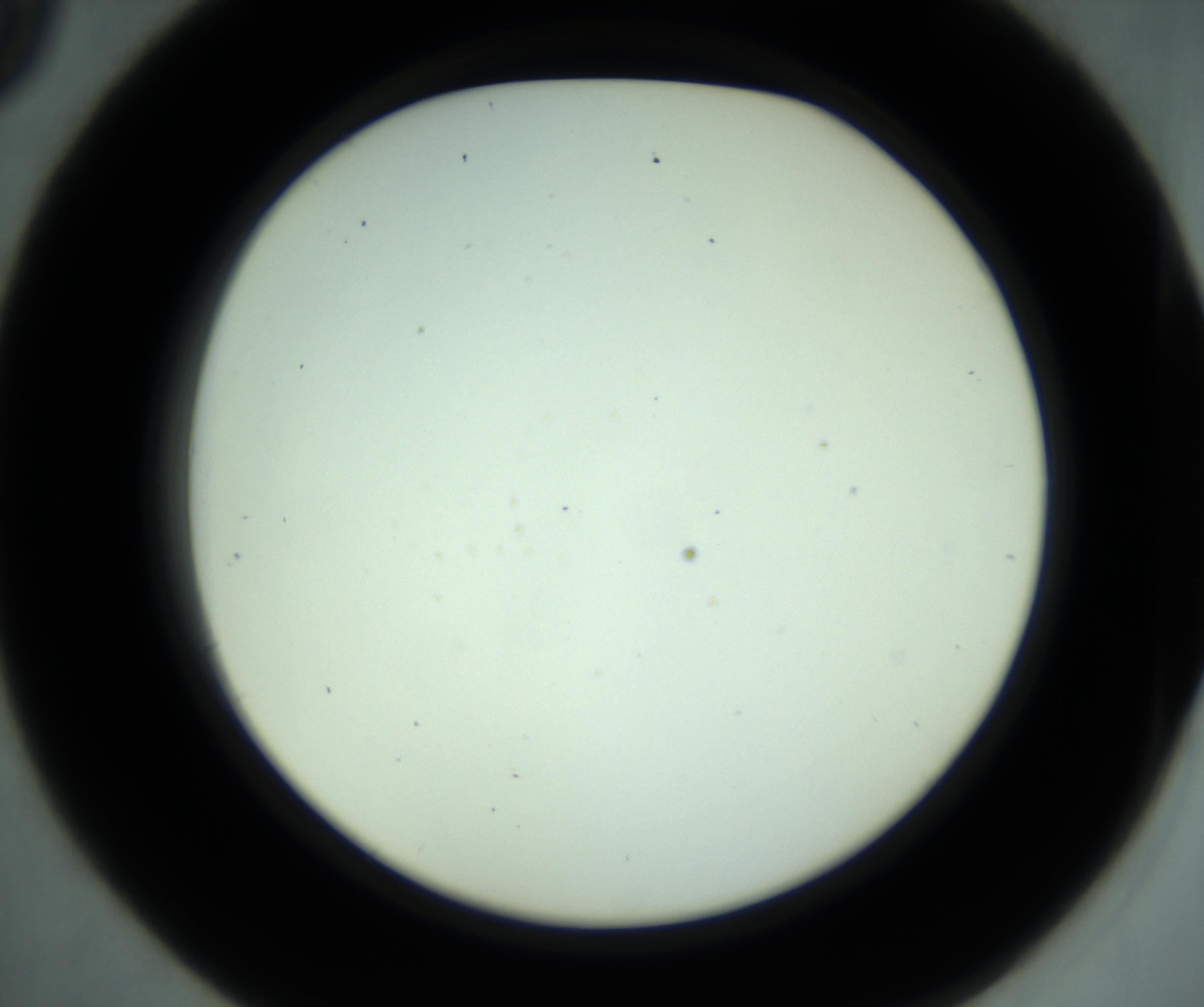 RI01_03_000_0212_Proj1_Clon1_MC_0000MC102881_001_161021_09_04_02_00_98_002_001_RAI.jpg