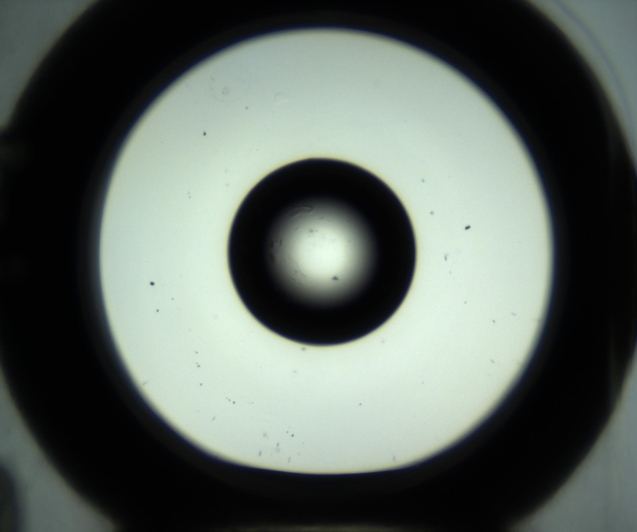RI01_03_000_0212_Proj1_Clon1_MC_0000MC102881_001_161021_09_05_01_00_98_002_001_RAI.jpg