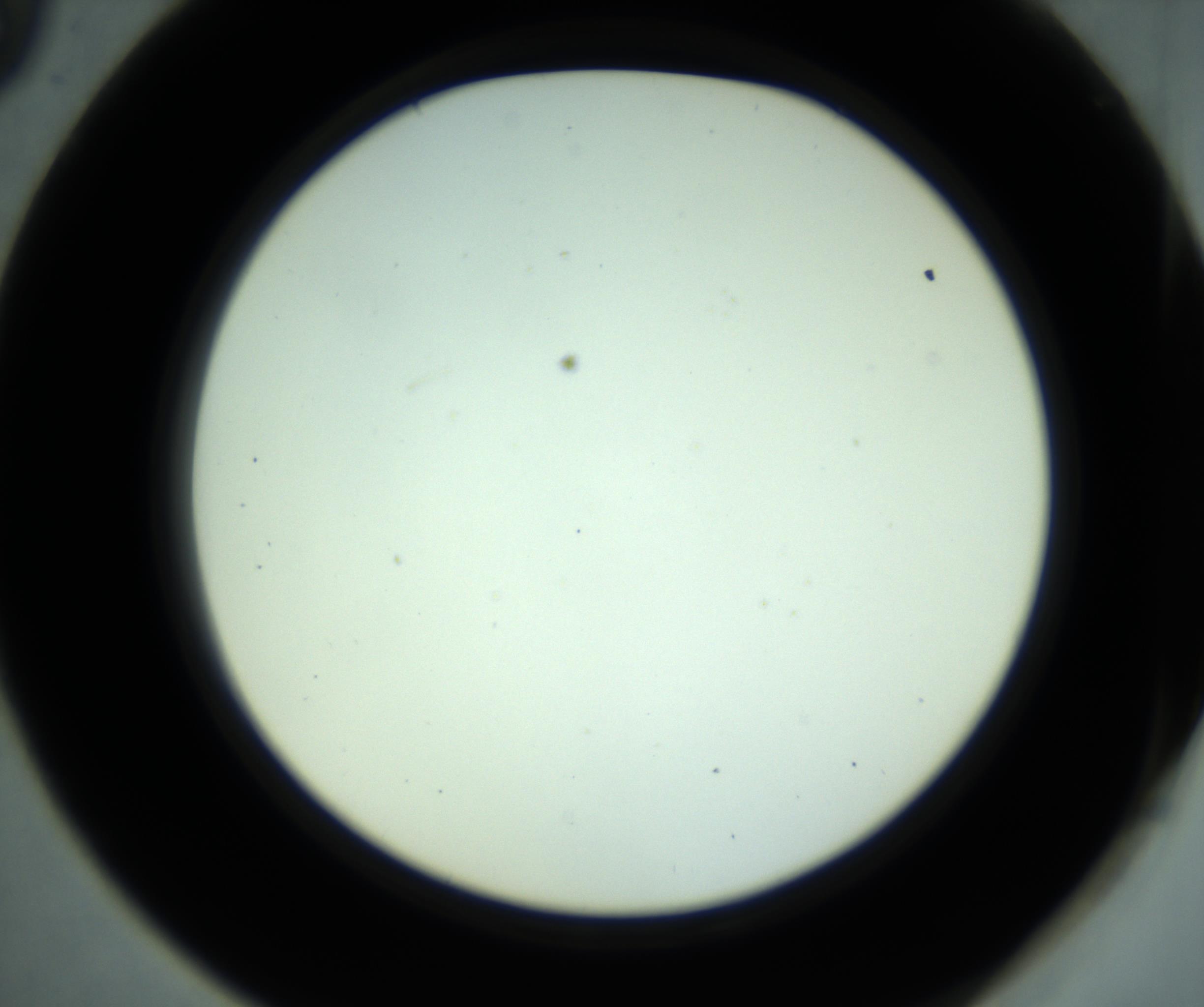 RI01_03_000_0212_Proj1_Clon1_MC_0000MC102881_001_161021_09_05_02_00_98_002_001_RAI.jpg