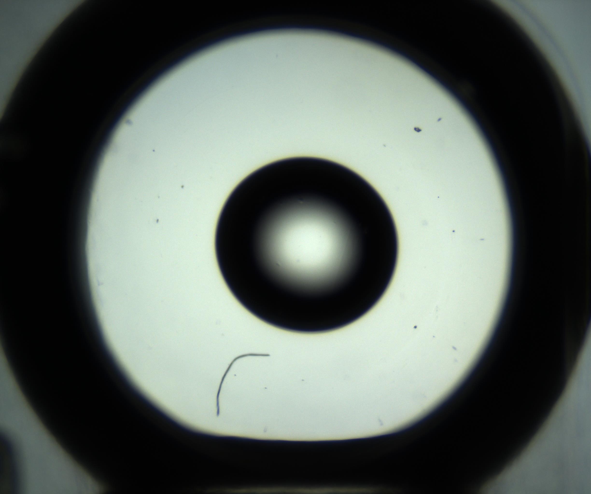 RI01_03_000_0212_Proj1_Clon1_MC_0000MC102881_001_161021_09_06_01_00_98_002_001_RAI.jpg