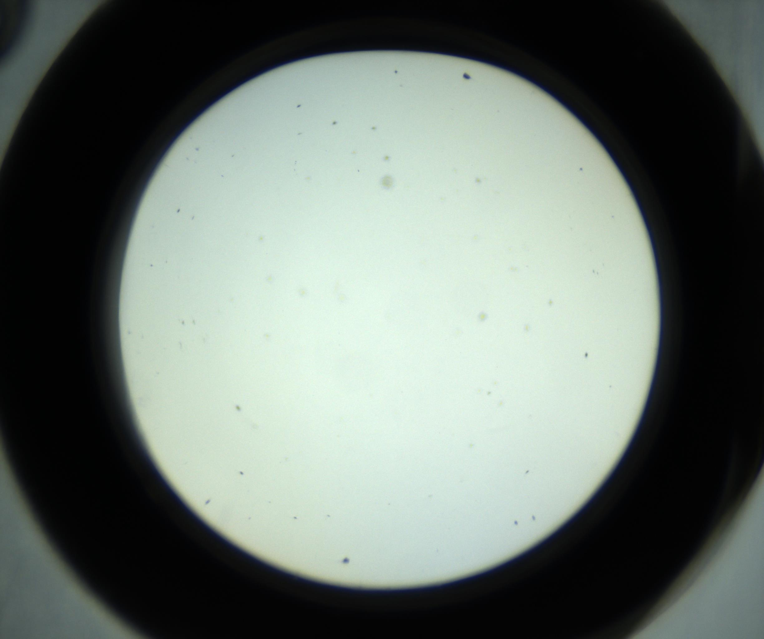 RI01_03_000_0212_Proj1_Clon1_MC_0000MC102881_001_161021_09_06_02_00_98_002_001_RAI.jpg