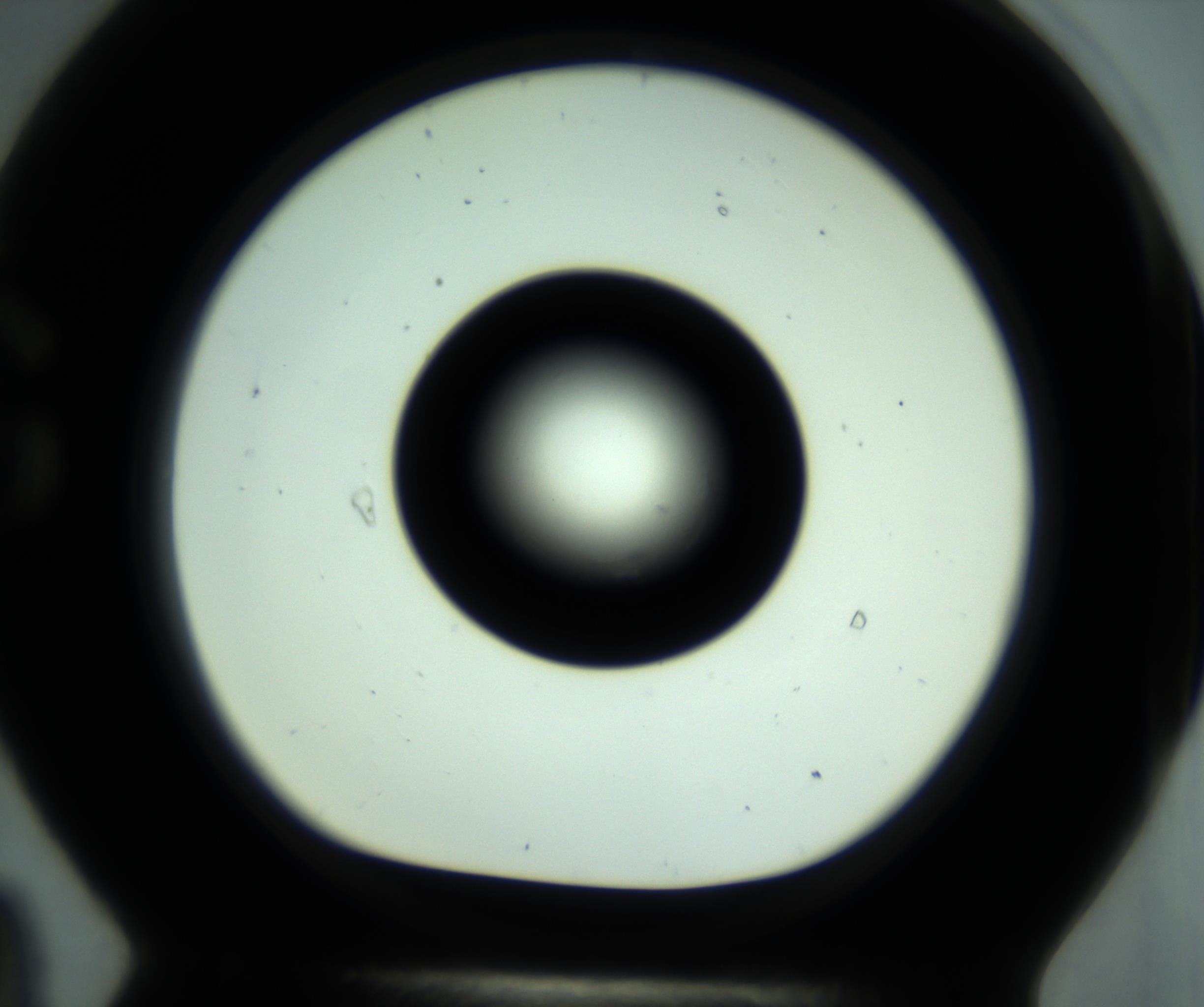 RI01_03_000_0212_Proj1_Clon1_MC_0000MC102881_001_161021_09_07_01_00_98_002_001_RAI.jpg