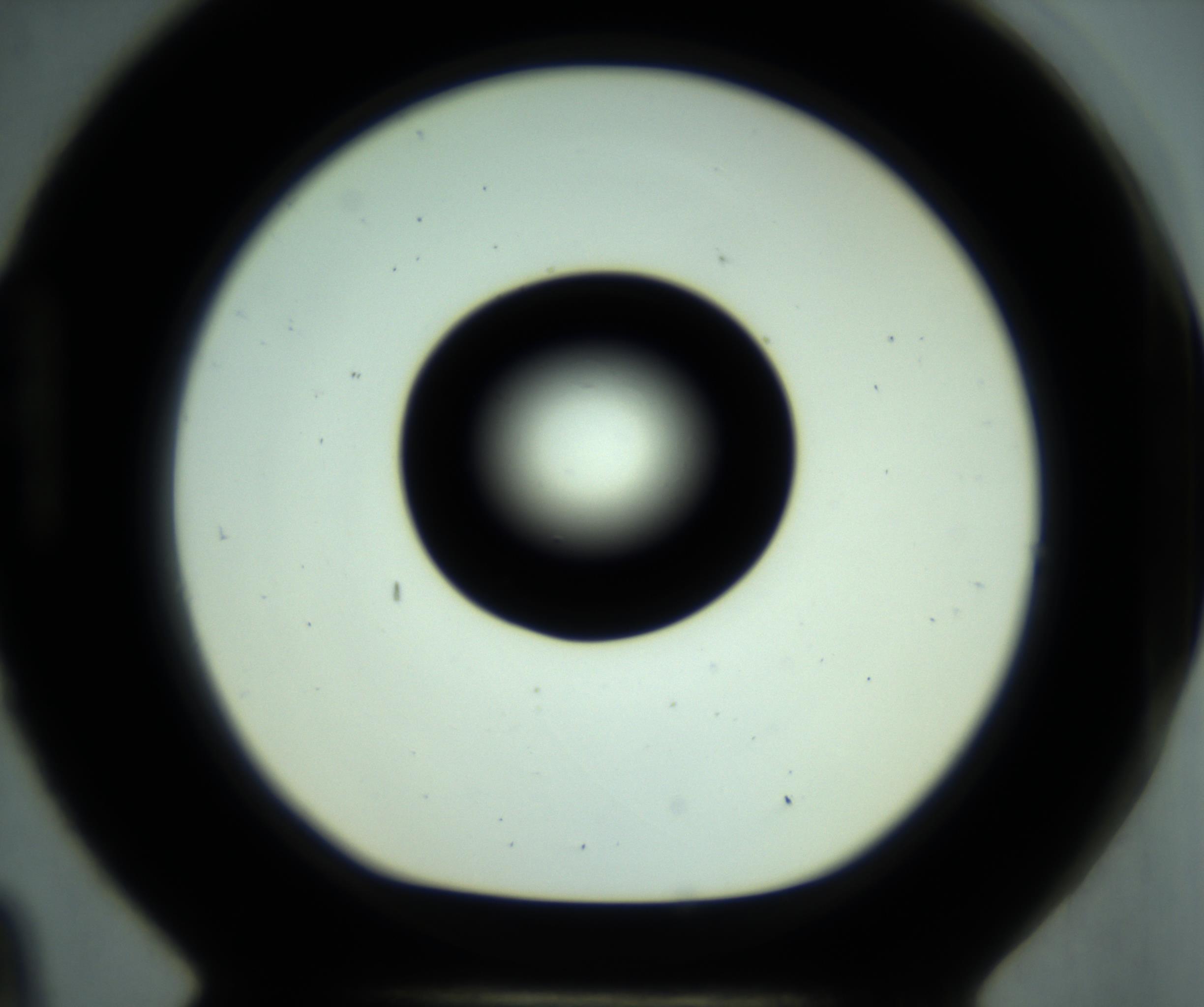 RI01_03_000_0212_Proj1_Clon1_MC_0000MC102881_001_161021_09_08_01_00_98_002_001_RAI.jpg