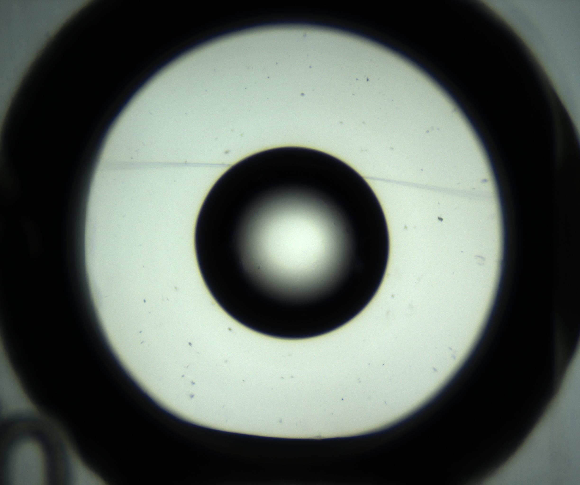 RI01_03_000_0212_Proj1_Clon1_MC_0000MC102881_001_161021_10_01_01_00_98_002_001_RAI.jpg