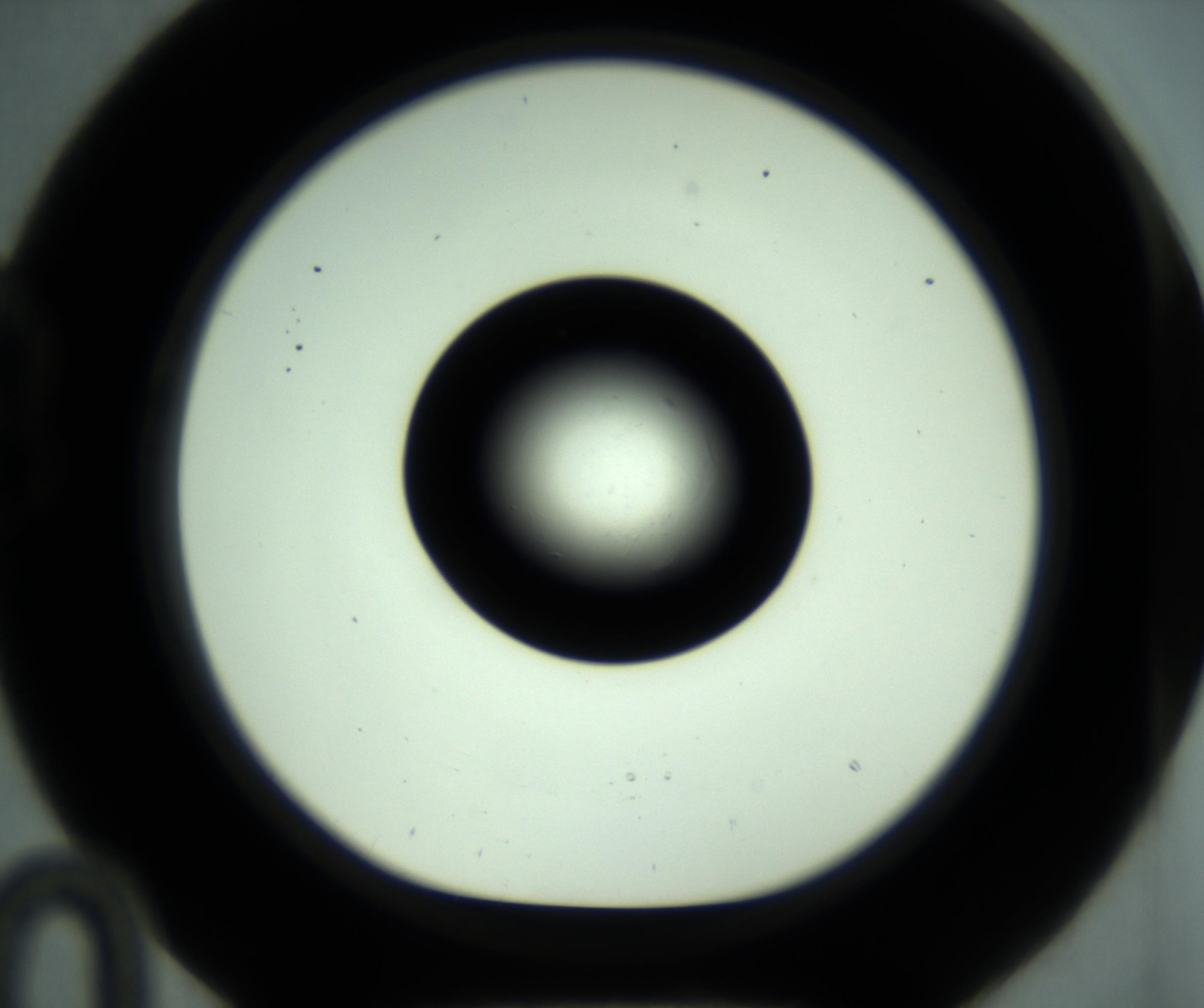 RI01_03_000_0212_Proj1_Clon1_MC_0000MC102881_001_161021_10_02_01_00_98_002_001_RAI.jpg