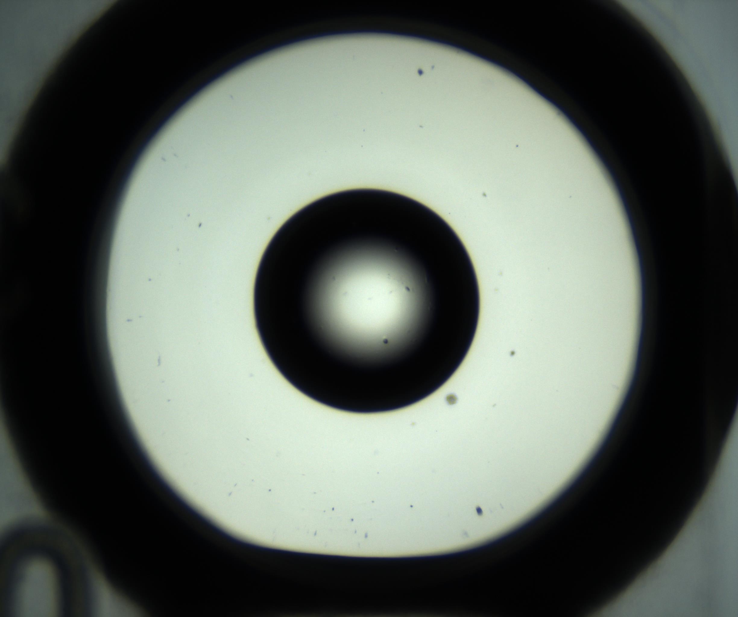 RI01_03_000_0212_Proj1_Clon1_MC_0000MC102881_001_161021_10_03_01_00_98_002_001_RAI.jpg