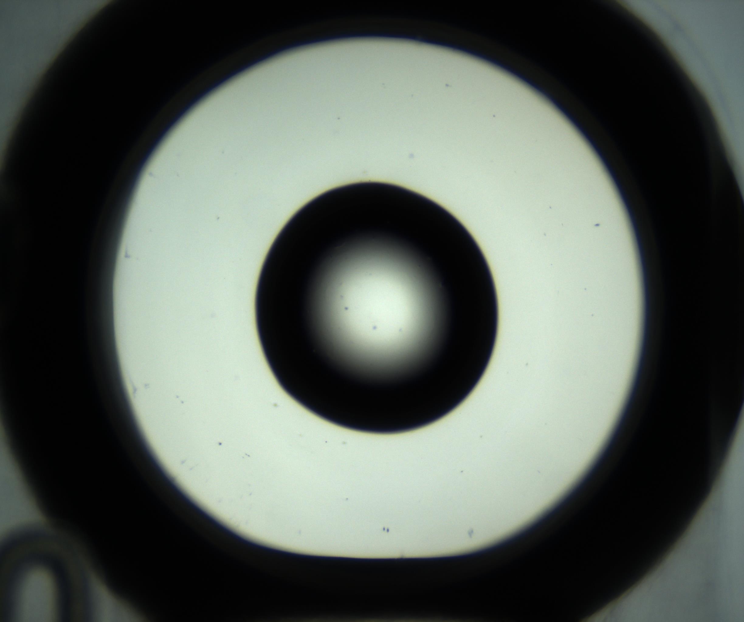 RI01_03_000_0212_Proj1_Clon1_MC_0000MC102881_001_161021_10_04_01_00_98_002_001_RAI.jpg
