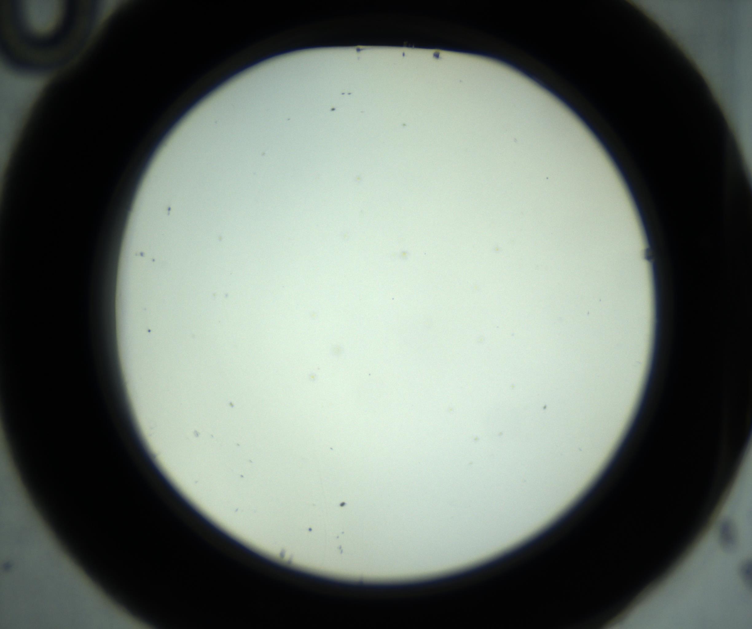 RI01_03_000_0212_Proj1_Clon1_MC_0000MC102881_001_161021_10_04_02_00_98_002_001_RAI.jpg