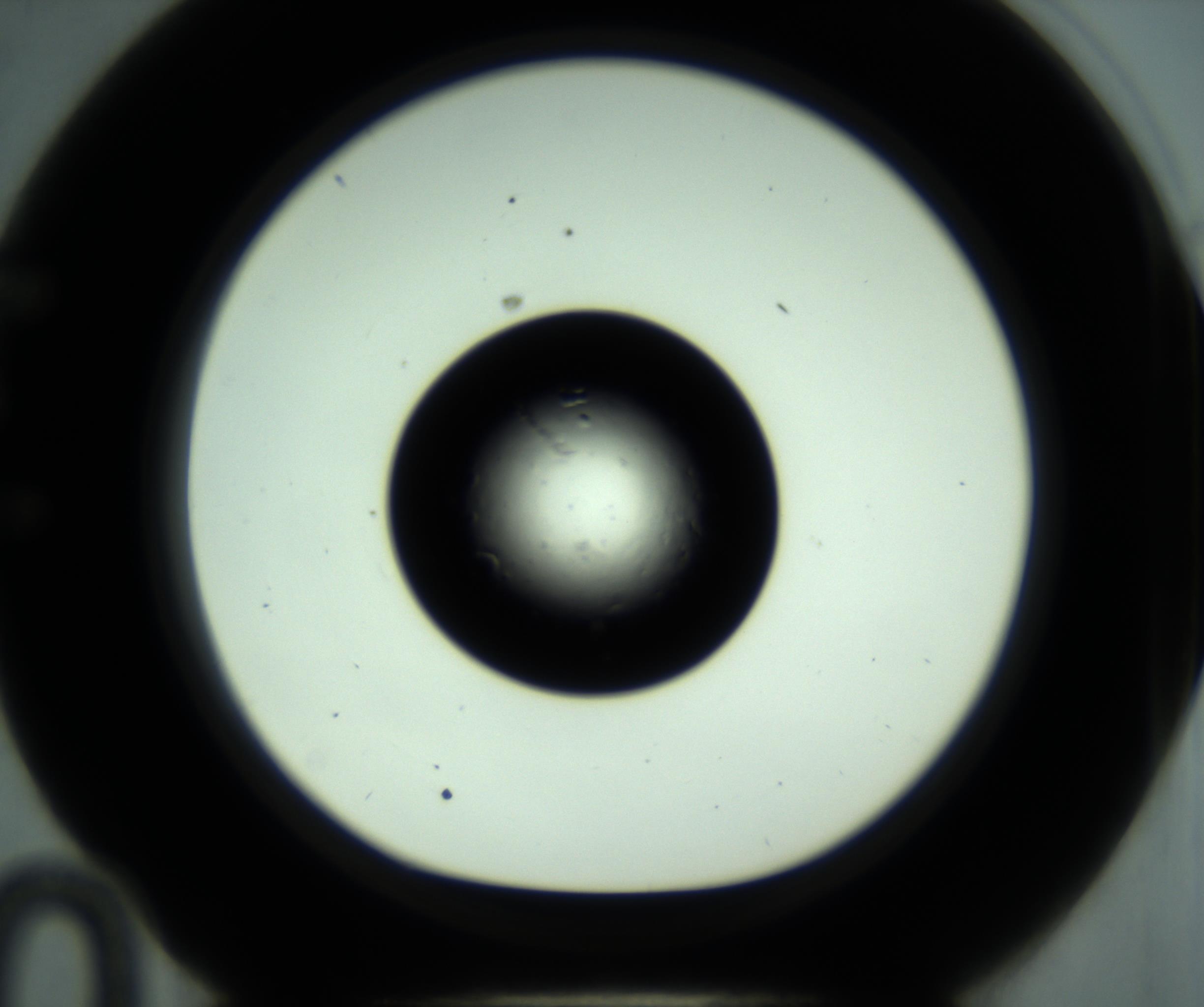 RI01_03_000_0212_Proj1_Clon1_MC_0000MC102881_001_161021_10_05_01_00_98_002_001_RAI.jpg