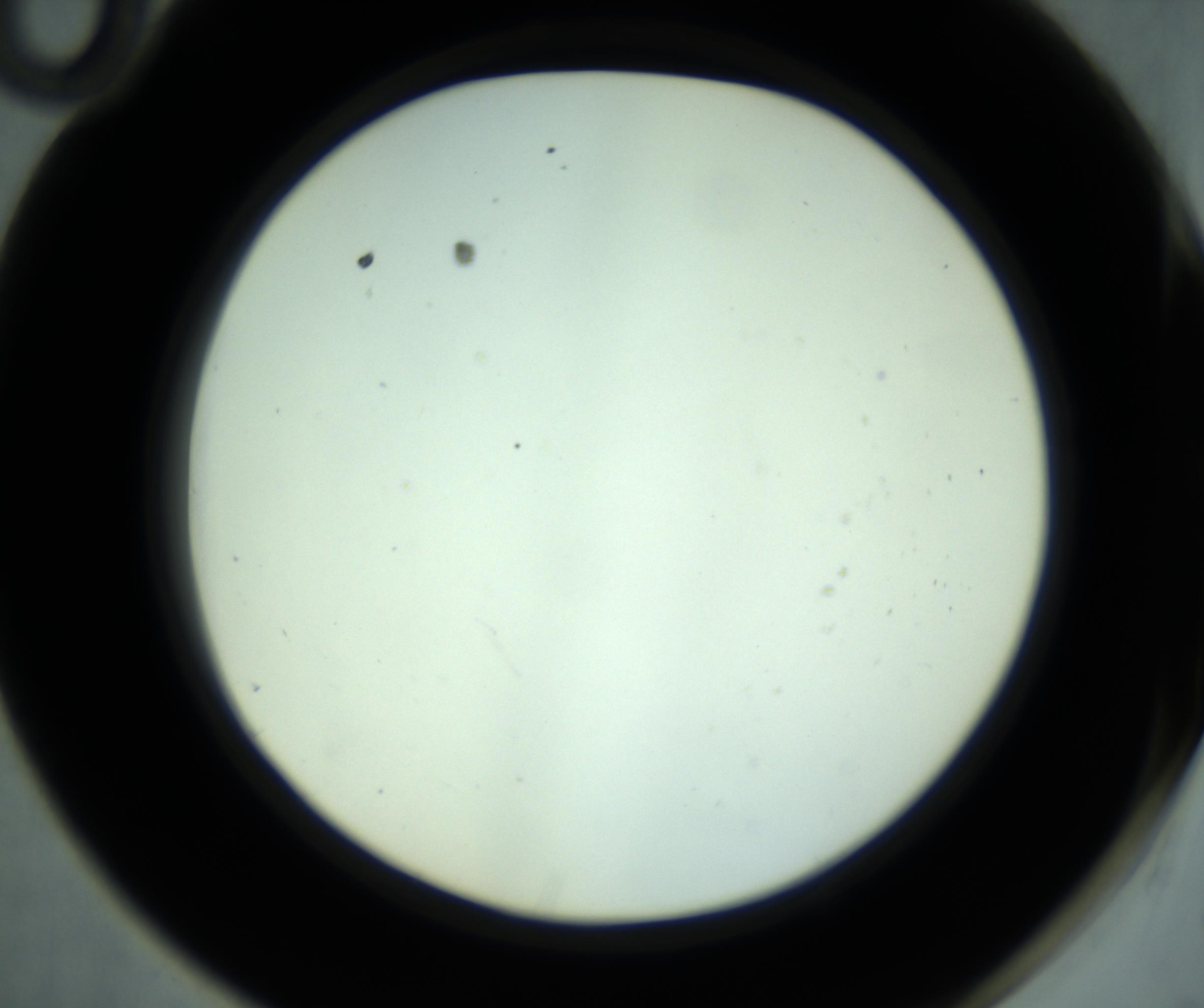RI01_03_000_0212_Proj1_Clon1_MC_0000MC102881_001_161021_10_05_02_00_98_002_001_RAI.jpg