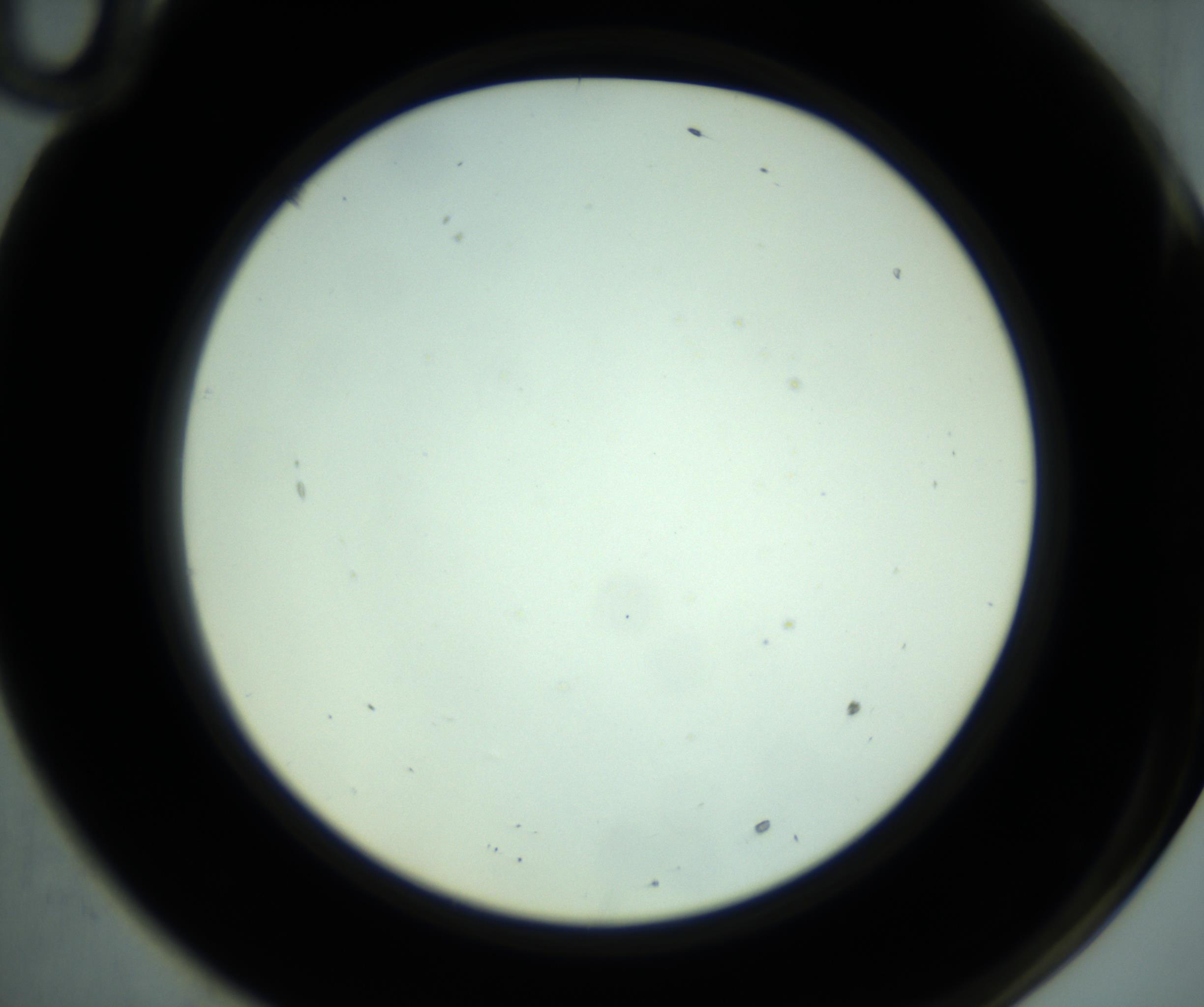 RI01_03_000_0212_Proj1_Clon1_MC_0000MC102881_001_161021_10_06_02_00_98_002_001_RAI.jpg